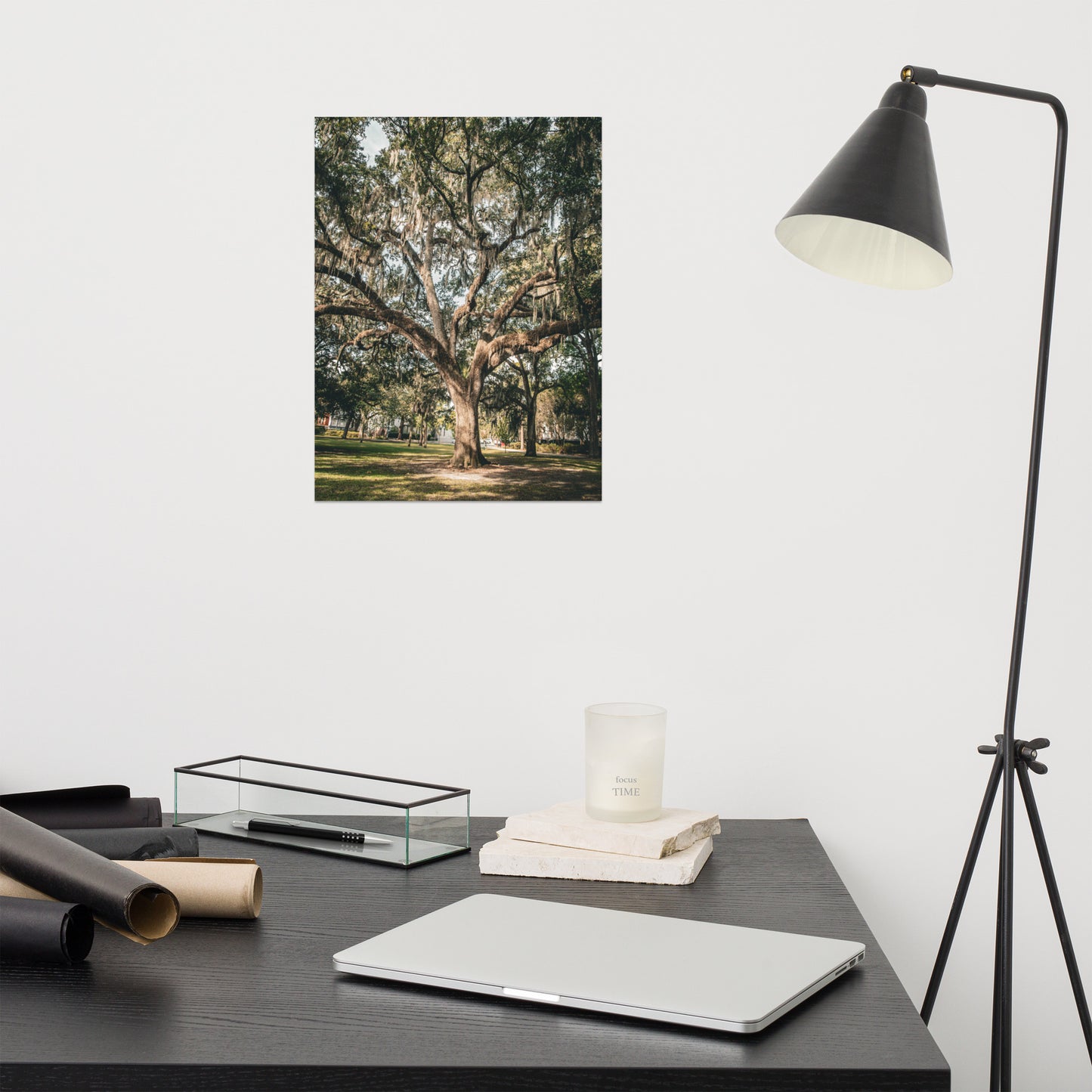 Live Oak Tree & Spanish Moss Forsyth Park Savannah Ga Rustic Farmhouse Style Nature Photo Loose Wall Art Print