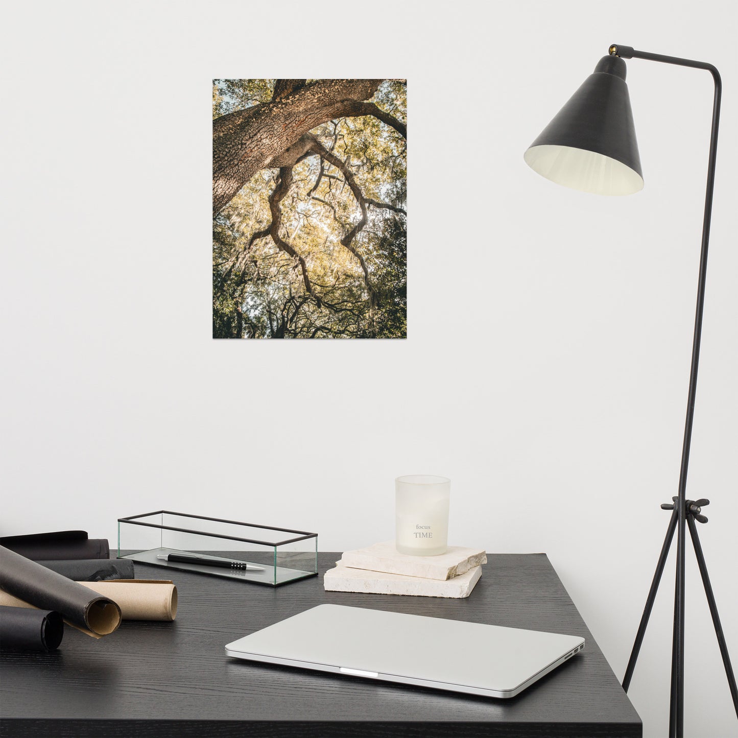 Live Oak Tree & Spanish Moss Forsyth Park Savannah Ga 2 Rustic Farmhouse Style Nature Photo Loose Wall Art Print