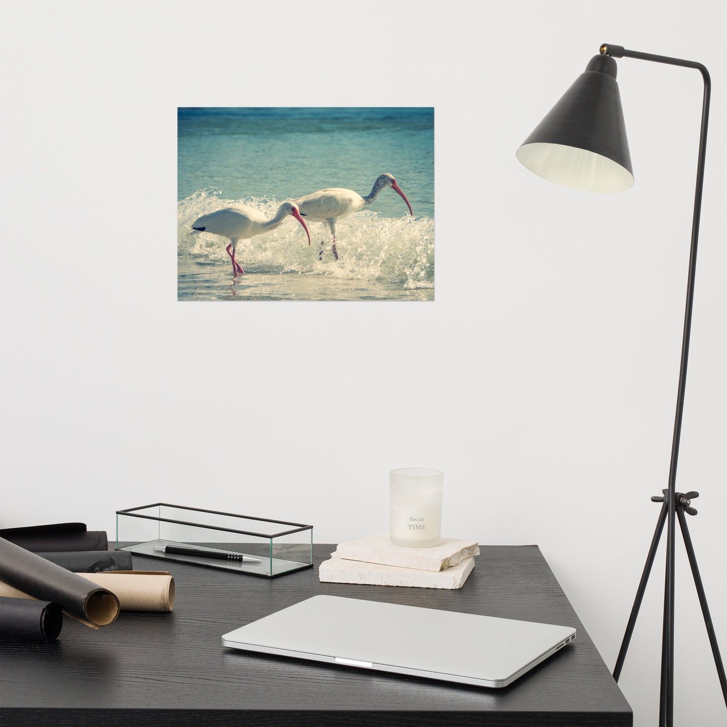 White Ibises on the Shore Colorized Coastal Wildlife Photo Loose Wall Art Print