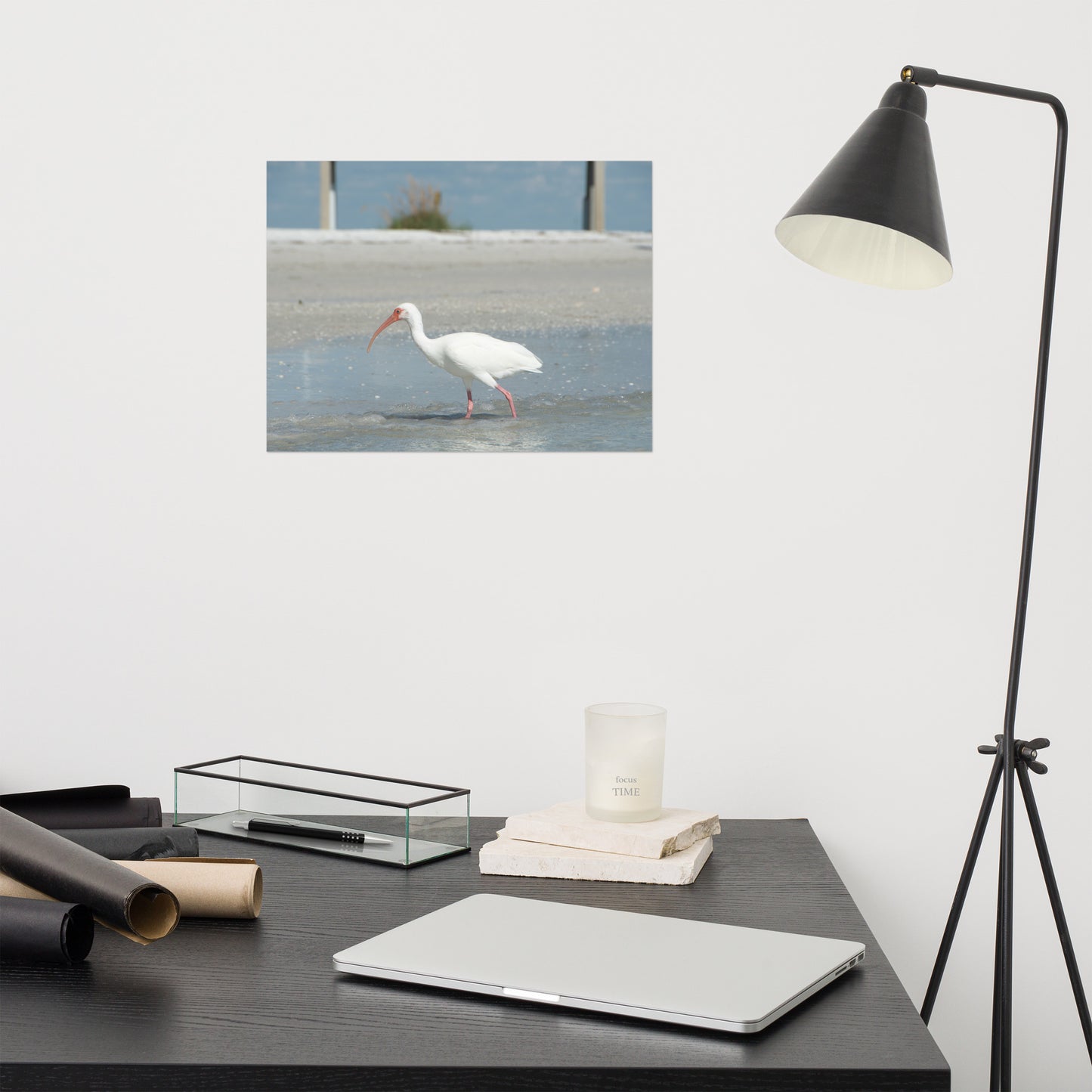 White Ibis on the Shore Coastal Wildlife Photo Loose Wall Art Print