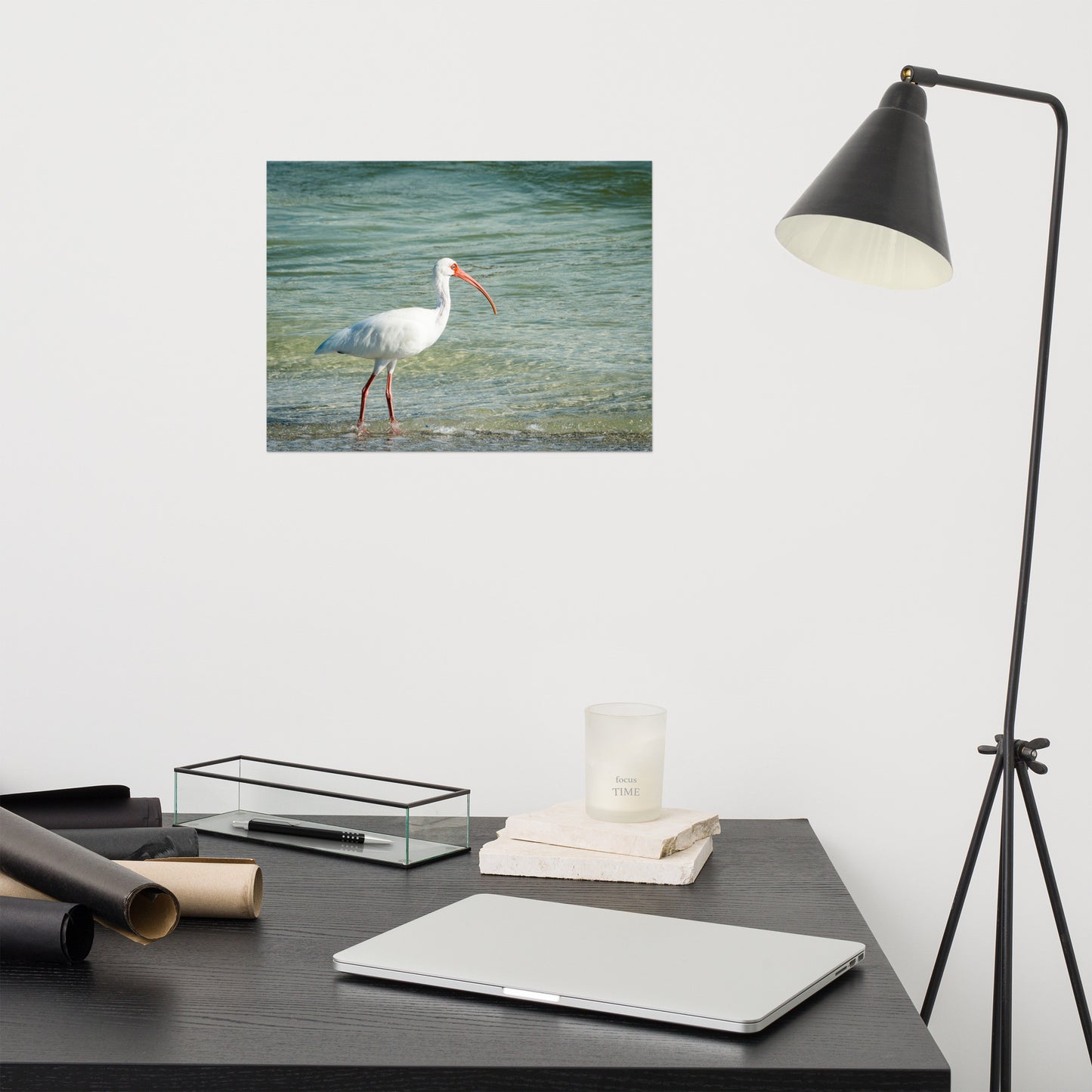 Daydreaming Ibis of the Coast Wildlife Photo Loose Wall Art Print