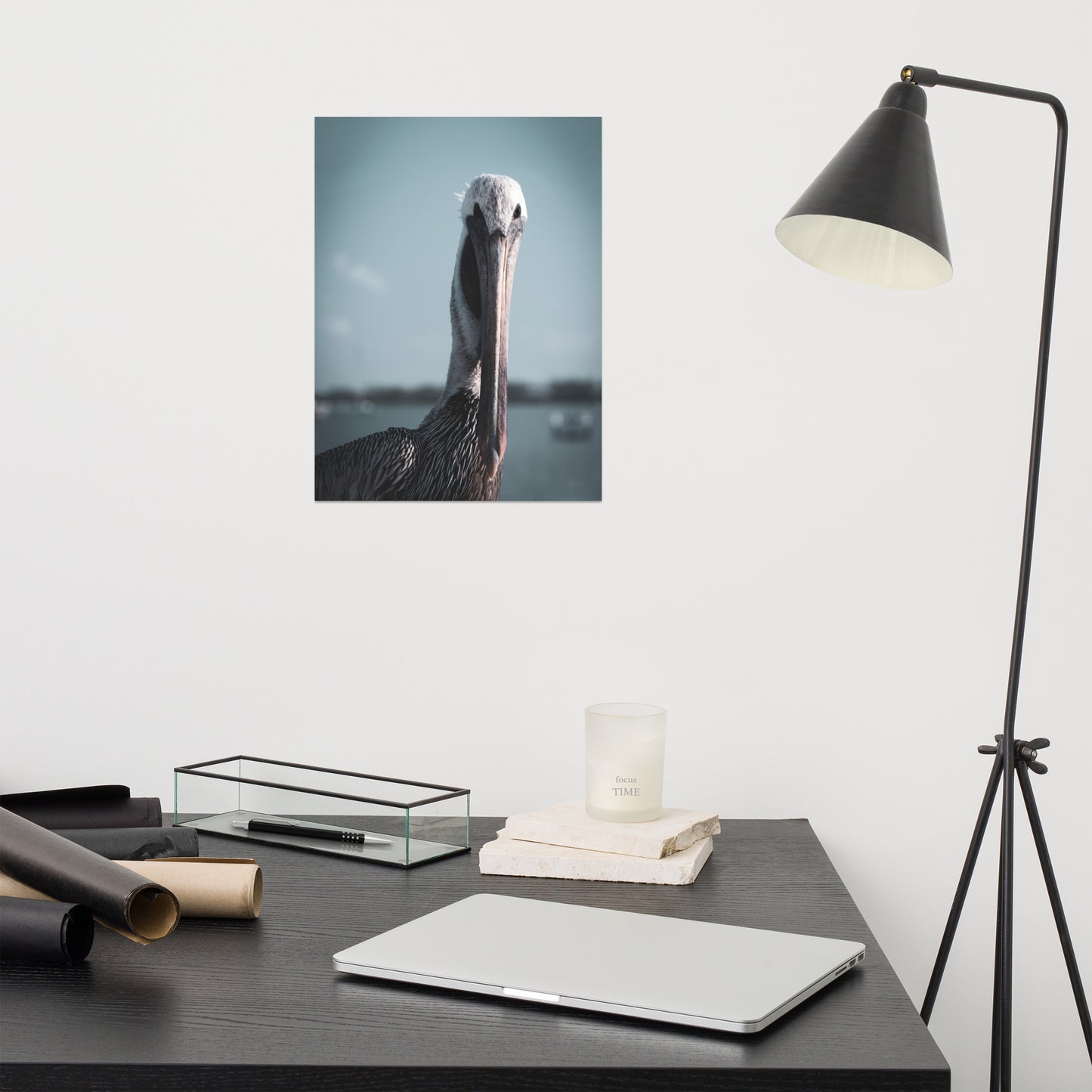 Bob The Pelican Colorized Loose Wall Art Print