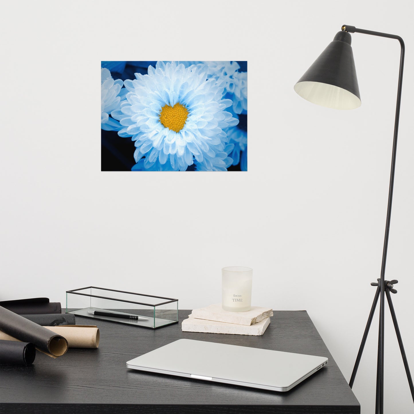 Blue Tinted Chrysanthemums Floral Nature Photo Loose Wall Art Print