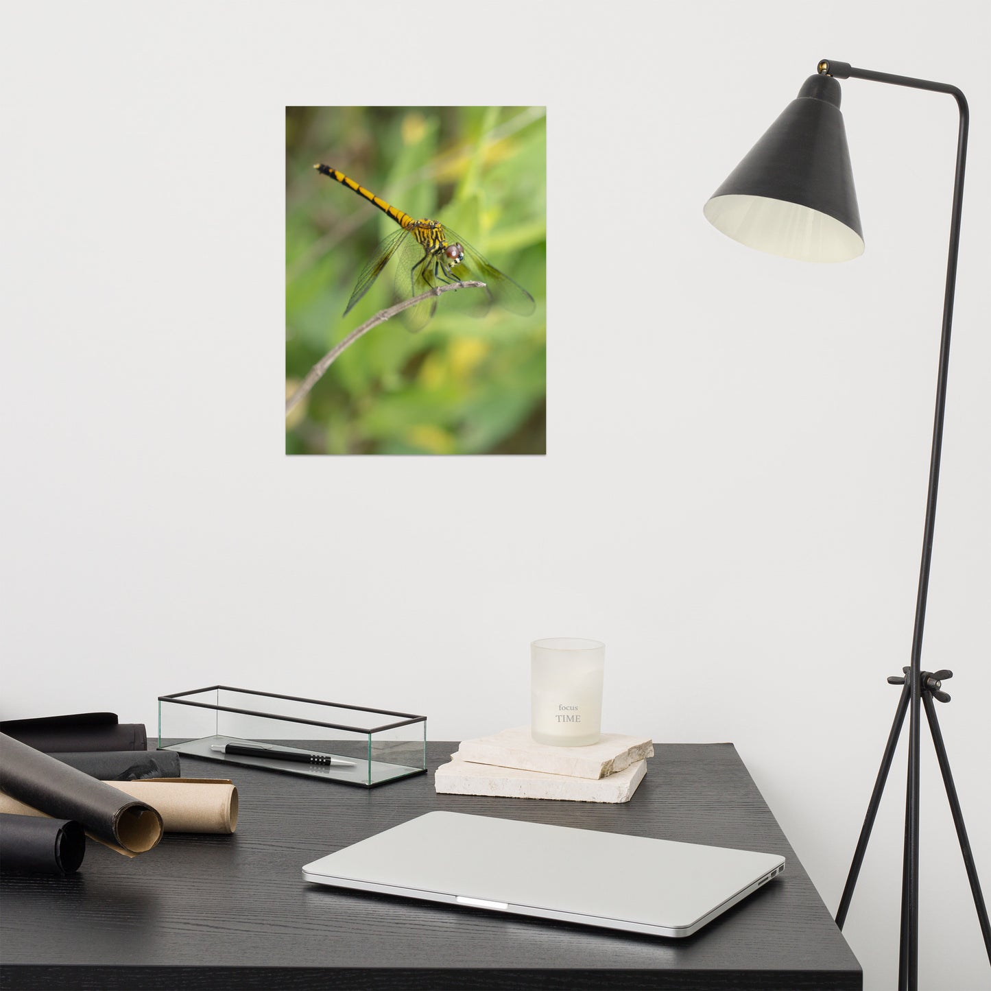 Dragonfly on Twig Wildlife Farmhouse Style Photograph Loose Wall Art Print