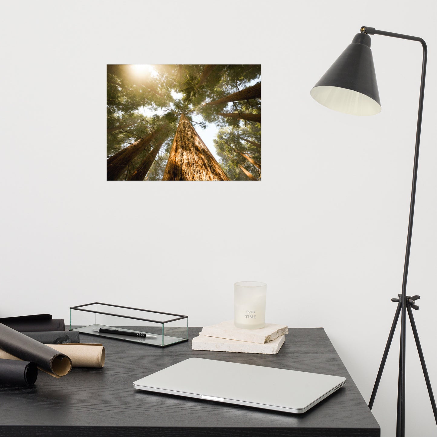 Looking Up Pine Trees Rustic Farmhouse Style Botanical Nature Photograph Loose Wall Art Print