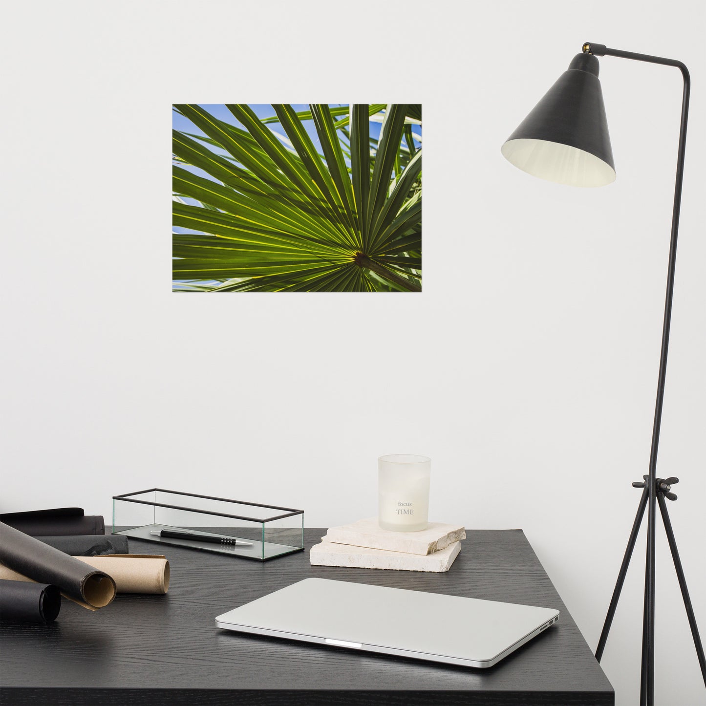 Colorized Wide Palm Leaves Botanical Nature Photo Loose Unframed Wall Art Prints