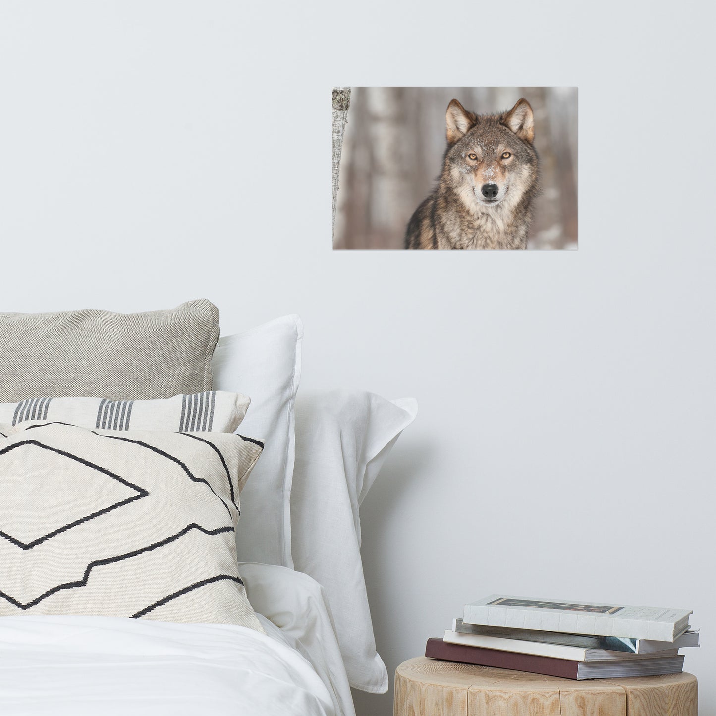 Portrait of Gray Wolf In The Forest Rustic Farmhouse Style Animal Wildlife Nature Photograph Loose Wall Art Print