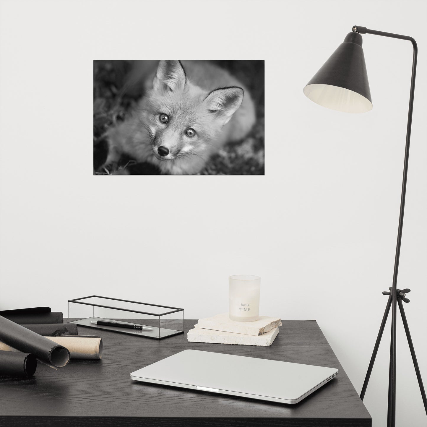 Young Red Fox Face Black and White Animal Wildlife Rustic Farmhouse Style Nature Photograph Loose Wall Art Print