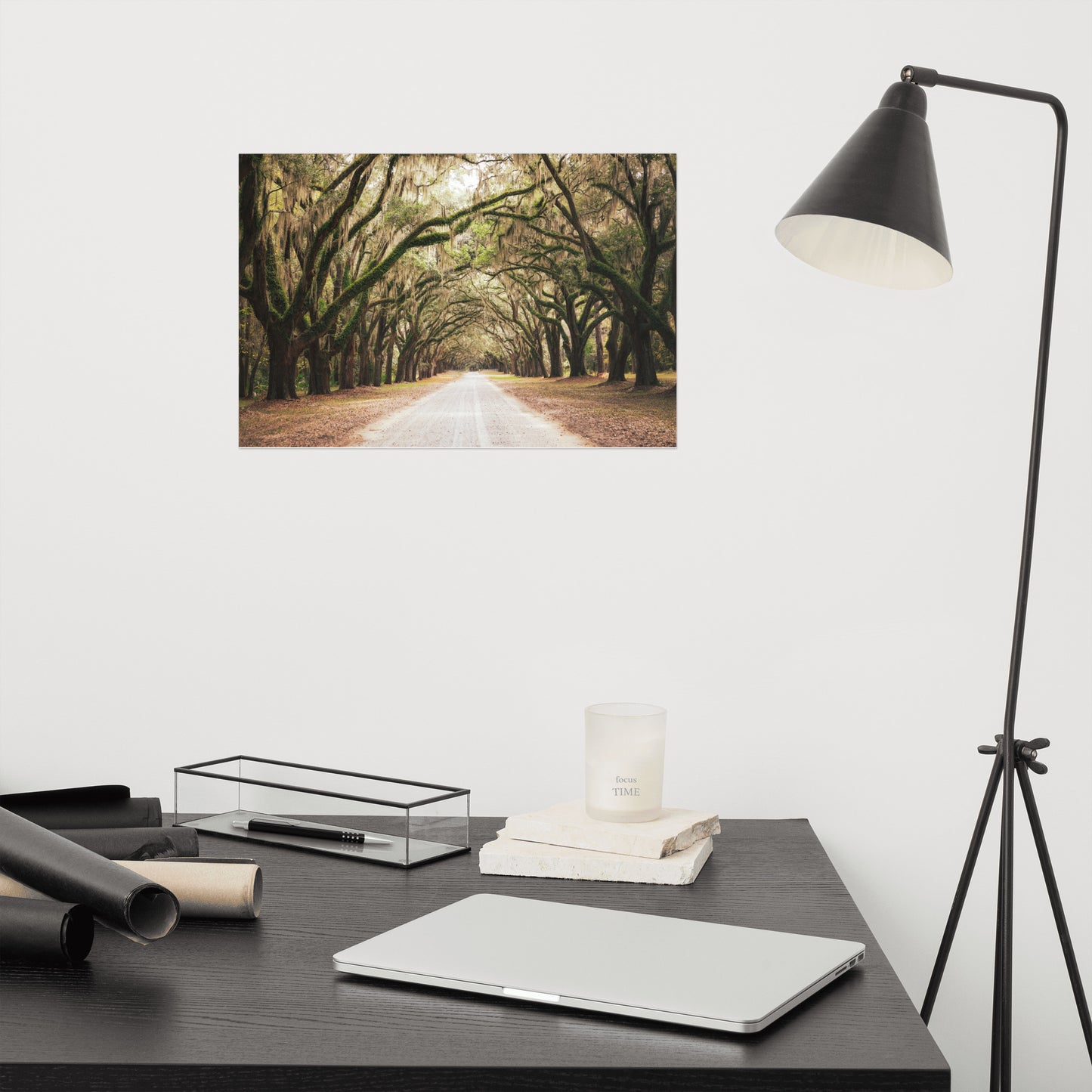 Botanical / Nature Landscape / Cityscape Abstract Decor Live Oaks and Spanish Moss Roadway Savannah Ga Loose Wall Art Print 12" x 18"