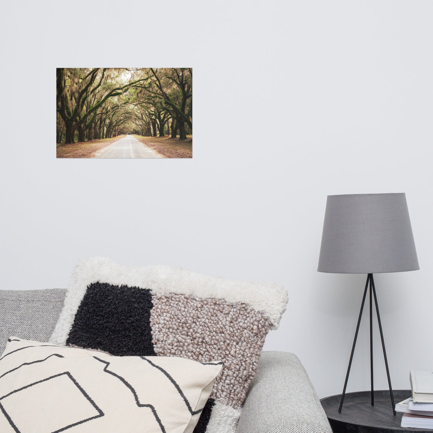 Live Oak Trees and Spanish Moss Roadway Savannah Ga Rustic Farmhouse Style Nature Landscape Photo Loose Wall Art Print