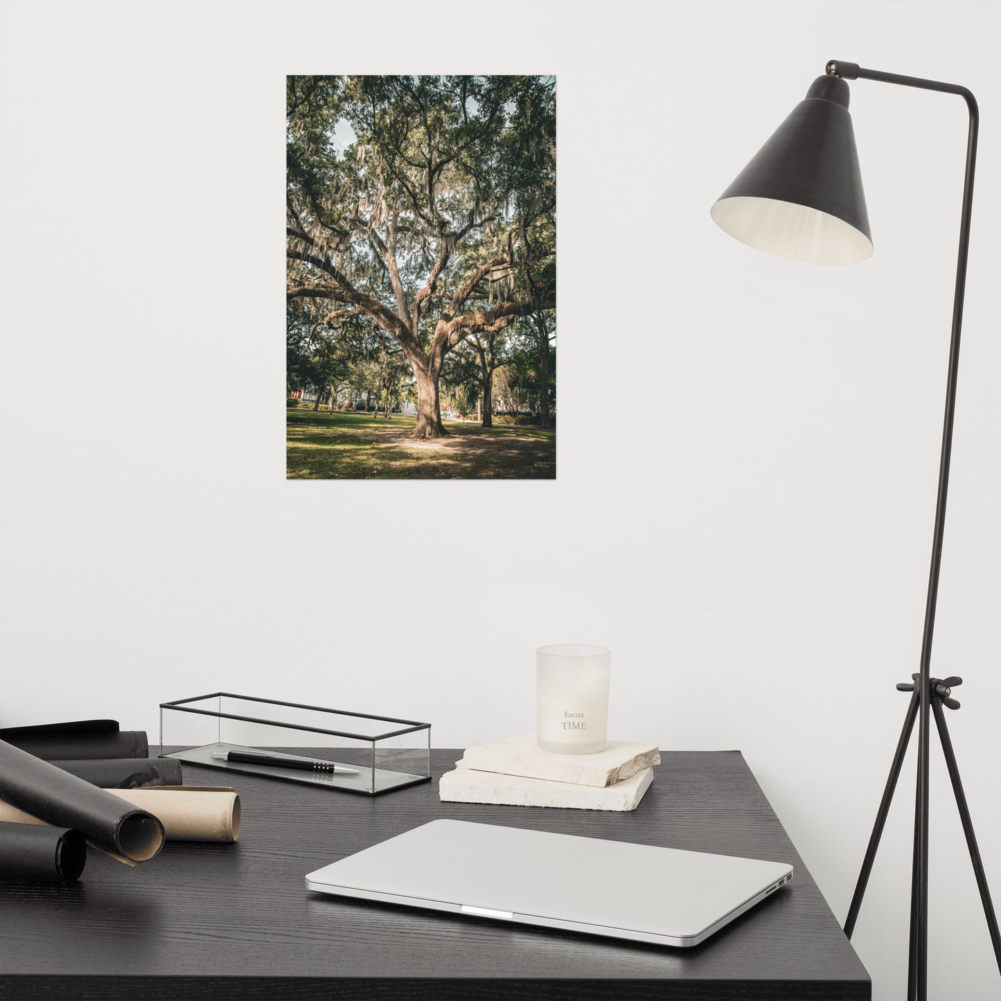Live Oak Tree & Spanish Moss Forsyth Park Savannah Ga Rustic Farmhouse Style Nature Photo Loose Wall Art Print