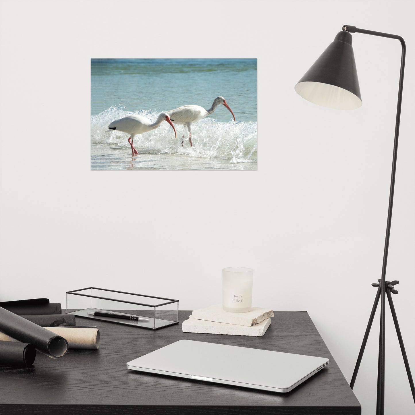 White Ibises on the Shore Traditional Color Coastal Wildlife Photograph Wall Art Print