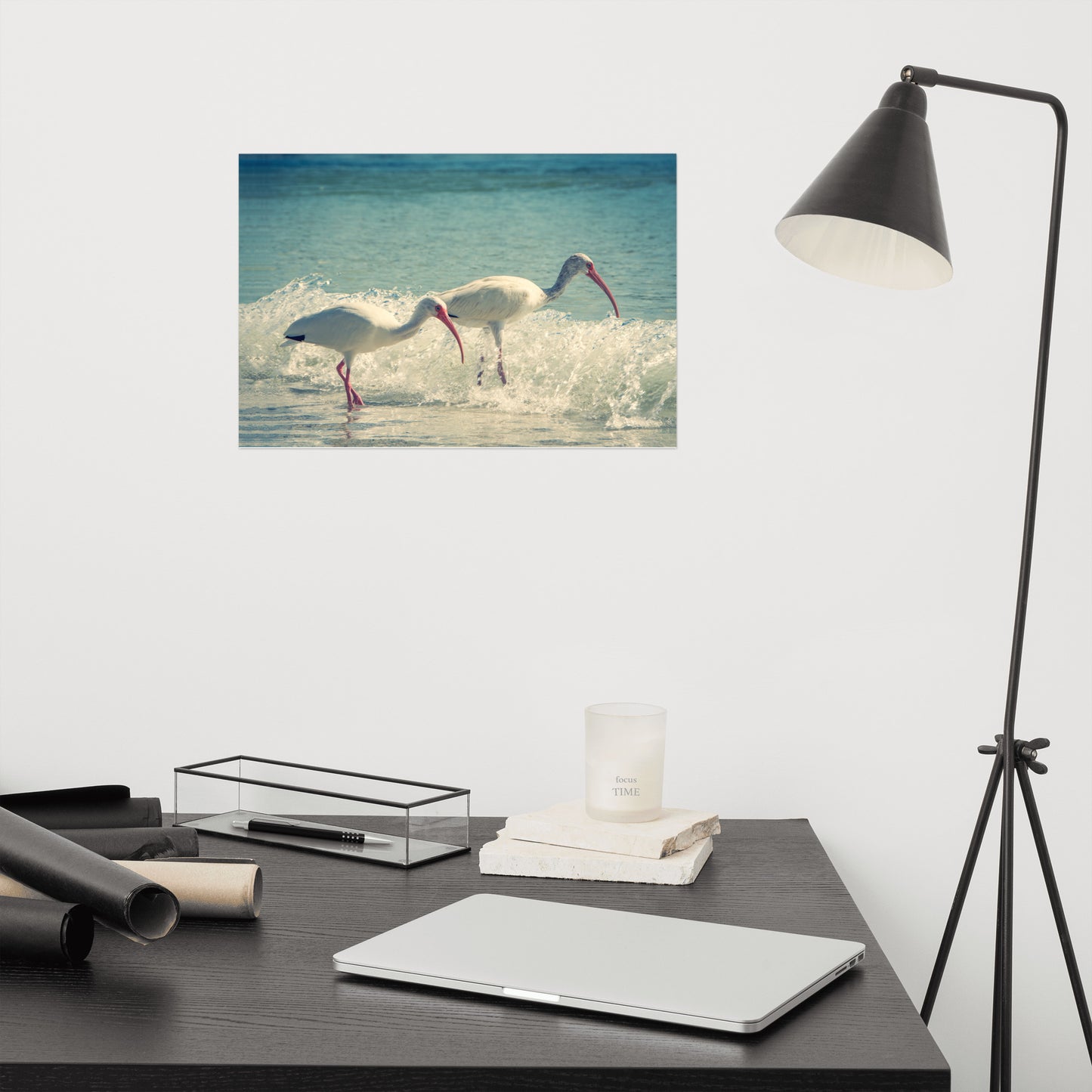 White Ibises on the Shore Colorized Coastal Wildlife Photo Loose Wall Art Print