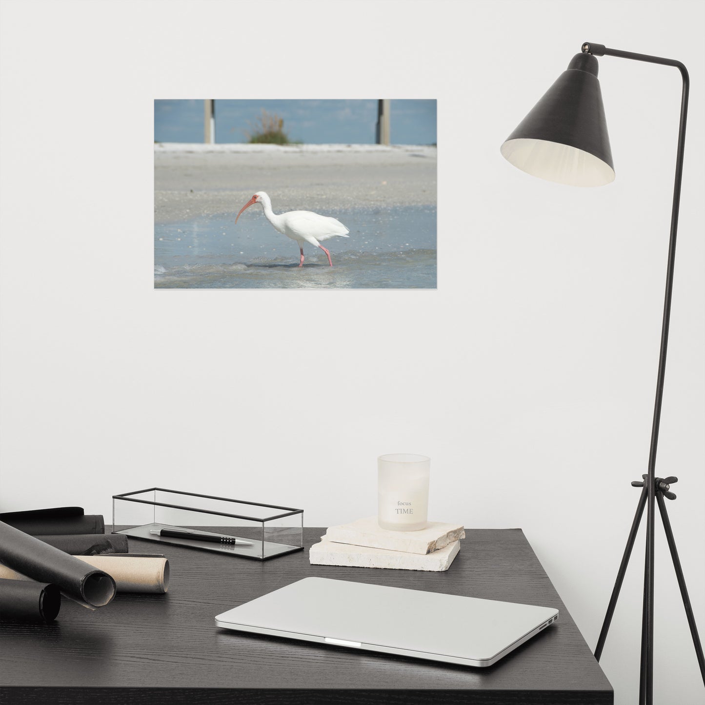 White Ibis on the Shore Coastal Wildlife Photo Loose Wall Art Print