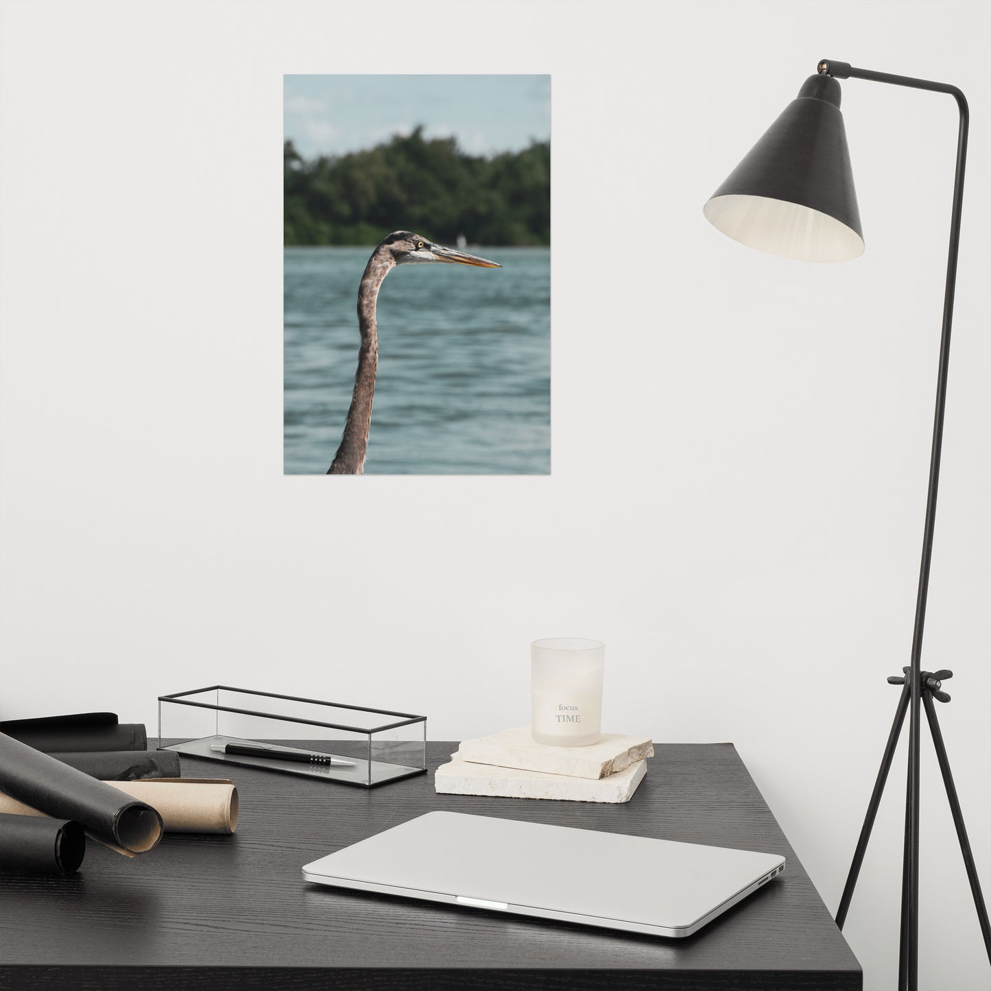 Heron in the Sound Bird / Animal / Wildlife Photo Loose Wall Art Print