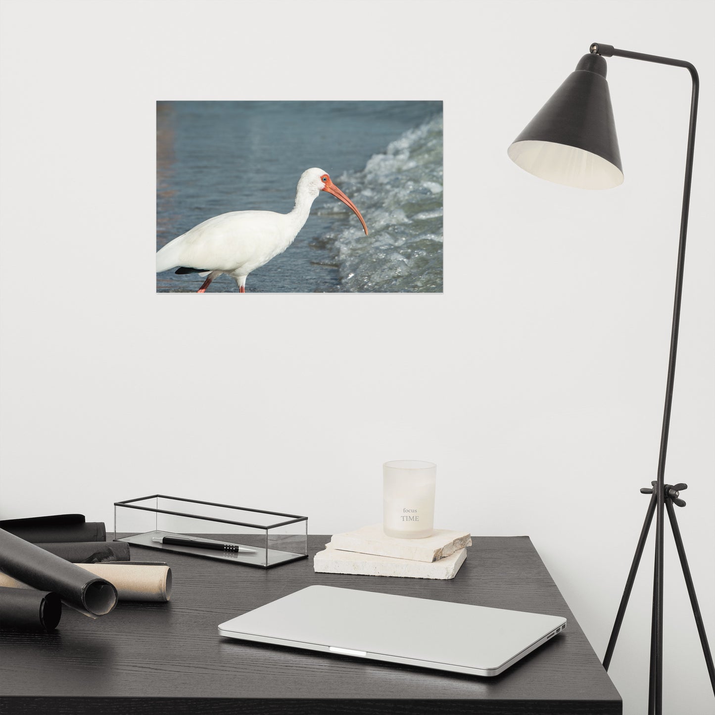 Close Up White Ibis on Beach Wildlife Photo Loose Wall Art Print