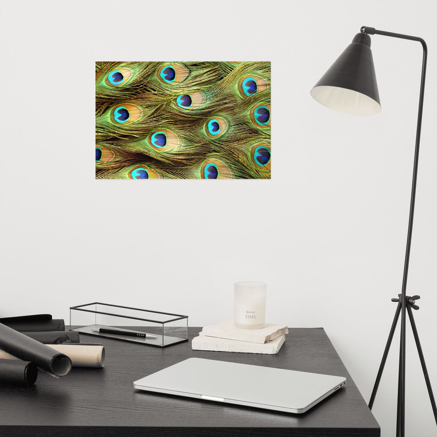 Peacock Feathers Close-Up Minimal Wildlife Wall Art Prints - Loose - Unframed