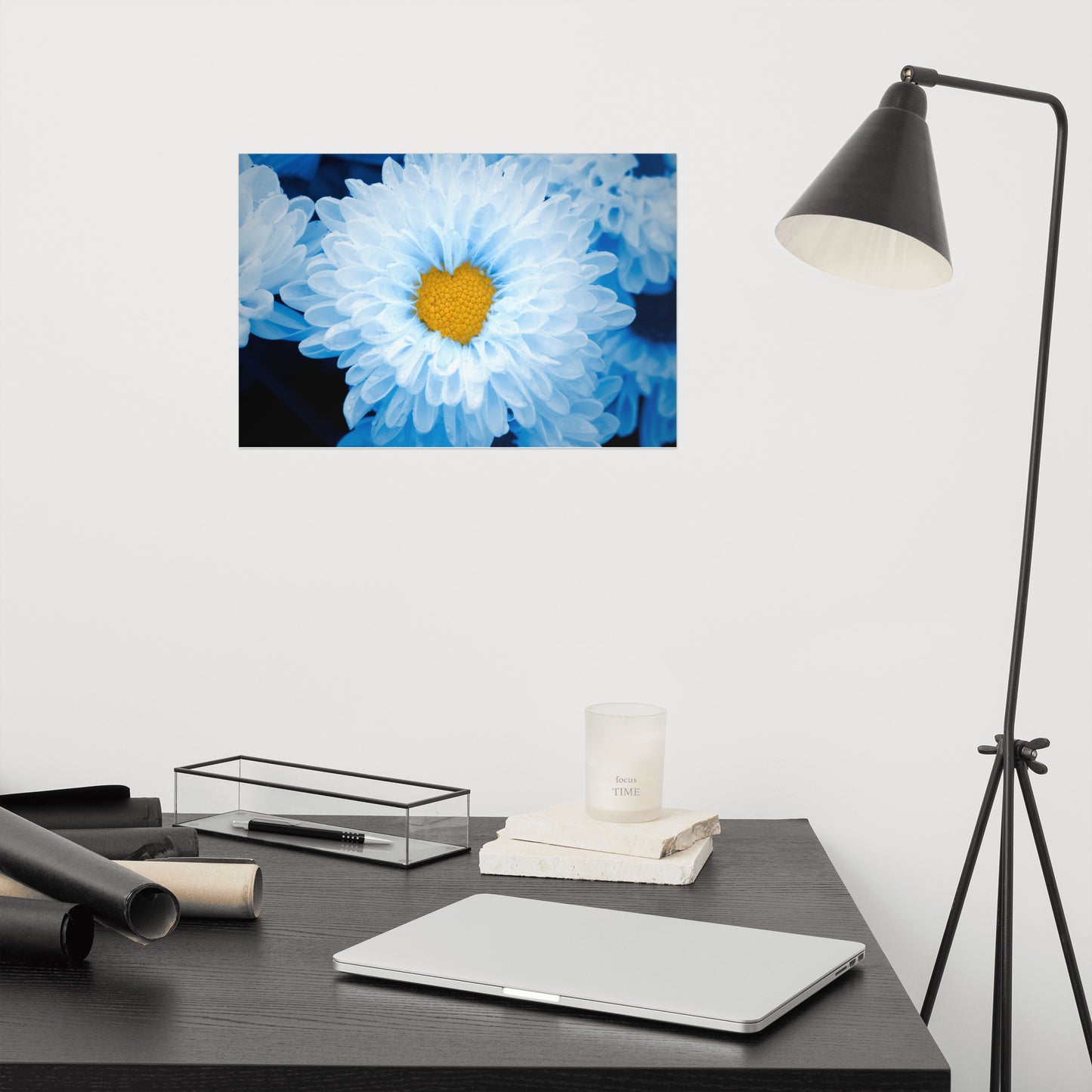 Blue Tinted Chrysanthemums Floral Nature Photo Loose Wall Art Print