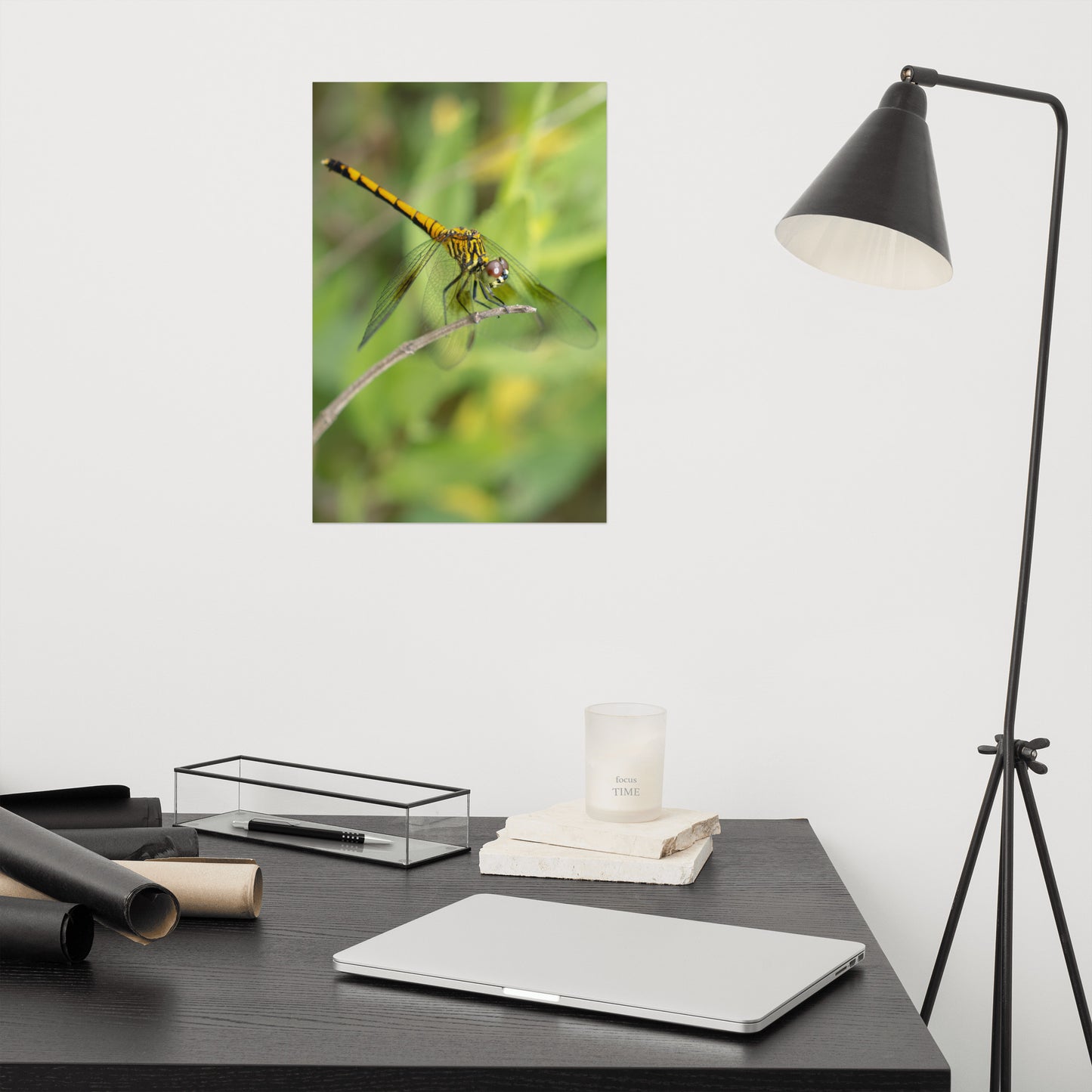 Dragonfly on Twig Wildlife Farmhouse Style Photograph Loose Wall Art Print