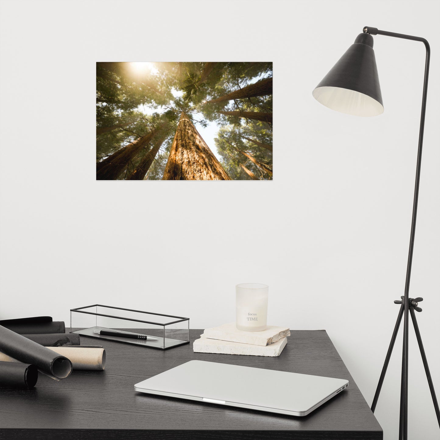 Looking Up Pine Trees Rustic Farmhouse Style Botanical Nature Photograph Loose Wall Art Print