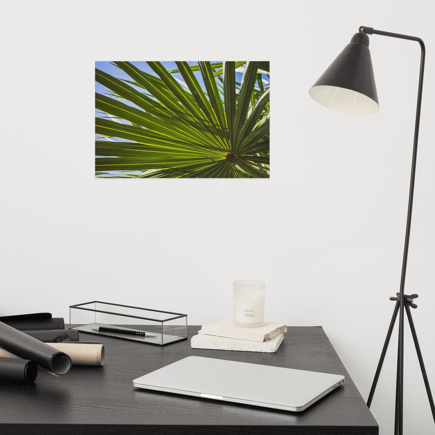 Colorized Wide Palm Leaves Botanical Nature Photo Loose Unframed Wall Art Prints