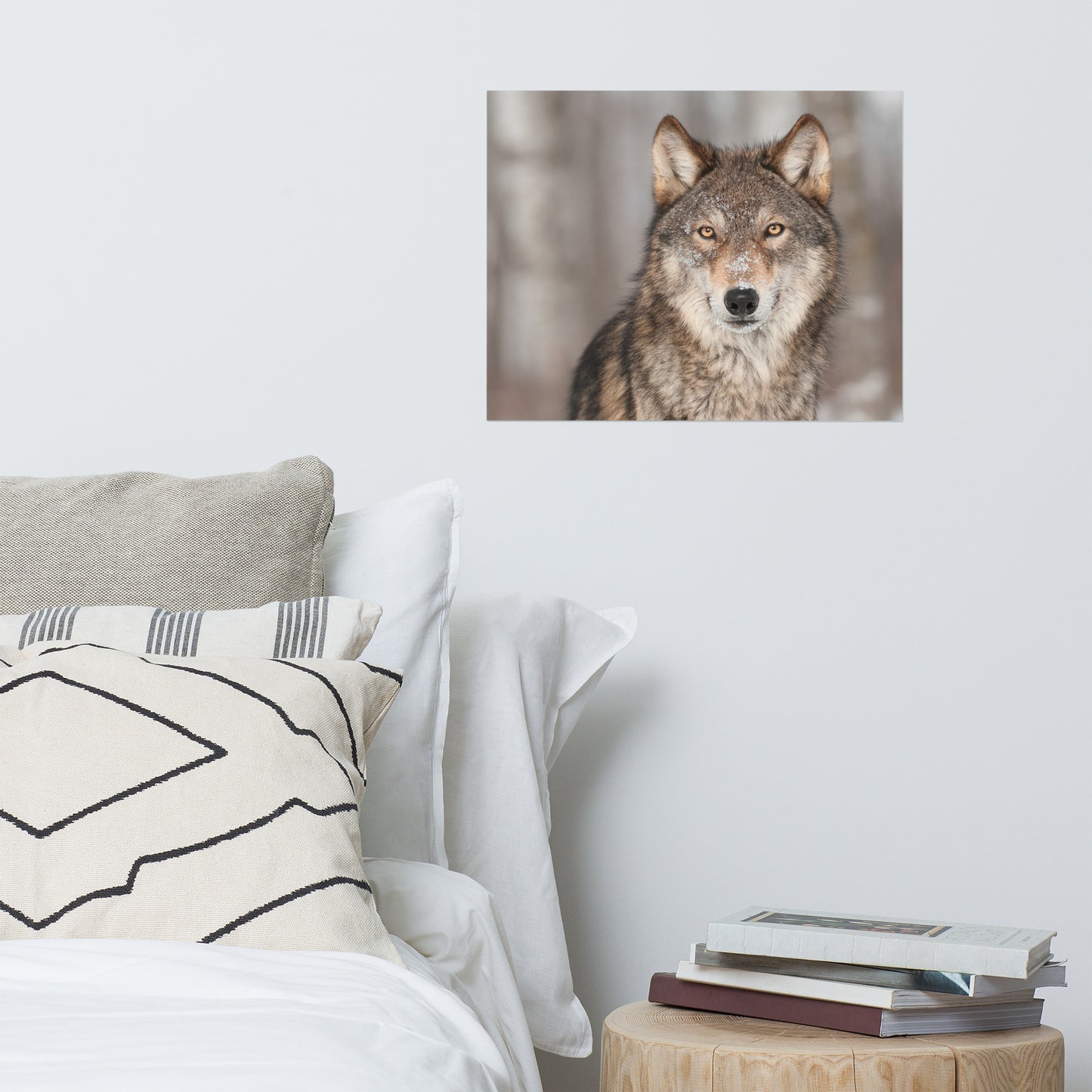 Portrait of Gray Wolf In The Forest Rustic Farmhouse Style Animal Wildlife Nature Photograph Loose Wall Art Print