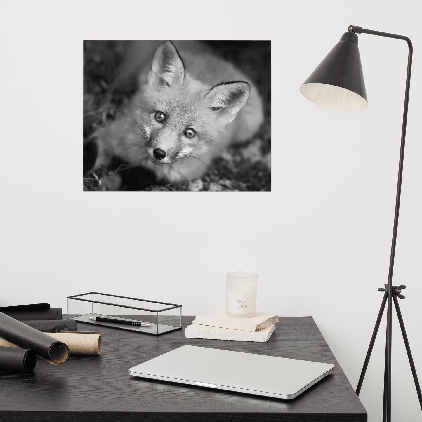 Young Red Fox Face Black and White Animal Wildlife Rustic Farmhouse Style Nature Photograph Loose Wall Art Print