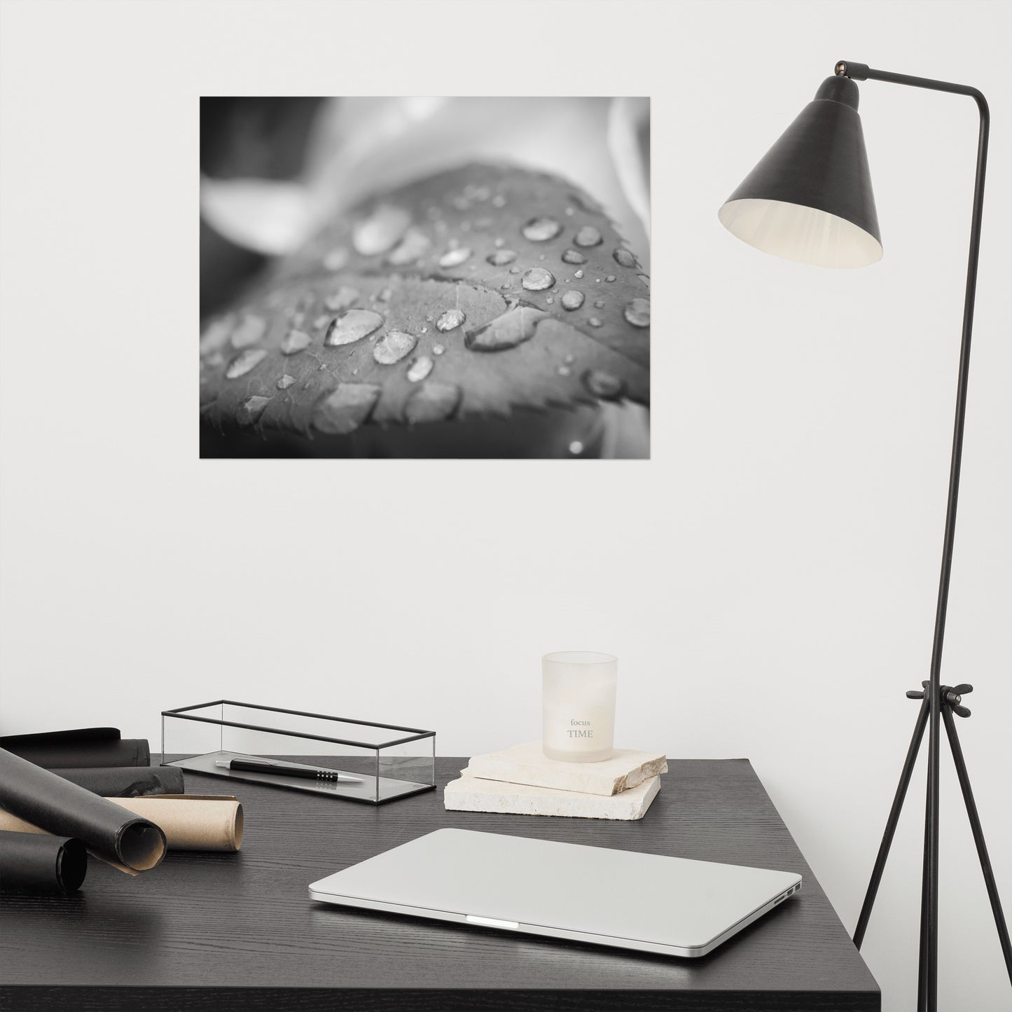 Dew on Leaf of Rose Plant Black and White Rustic Botanical Nature Photo Loose Unframed Wall Art Prints