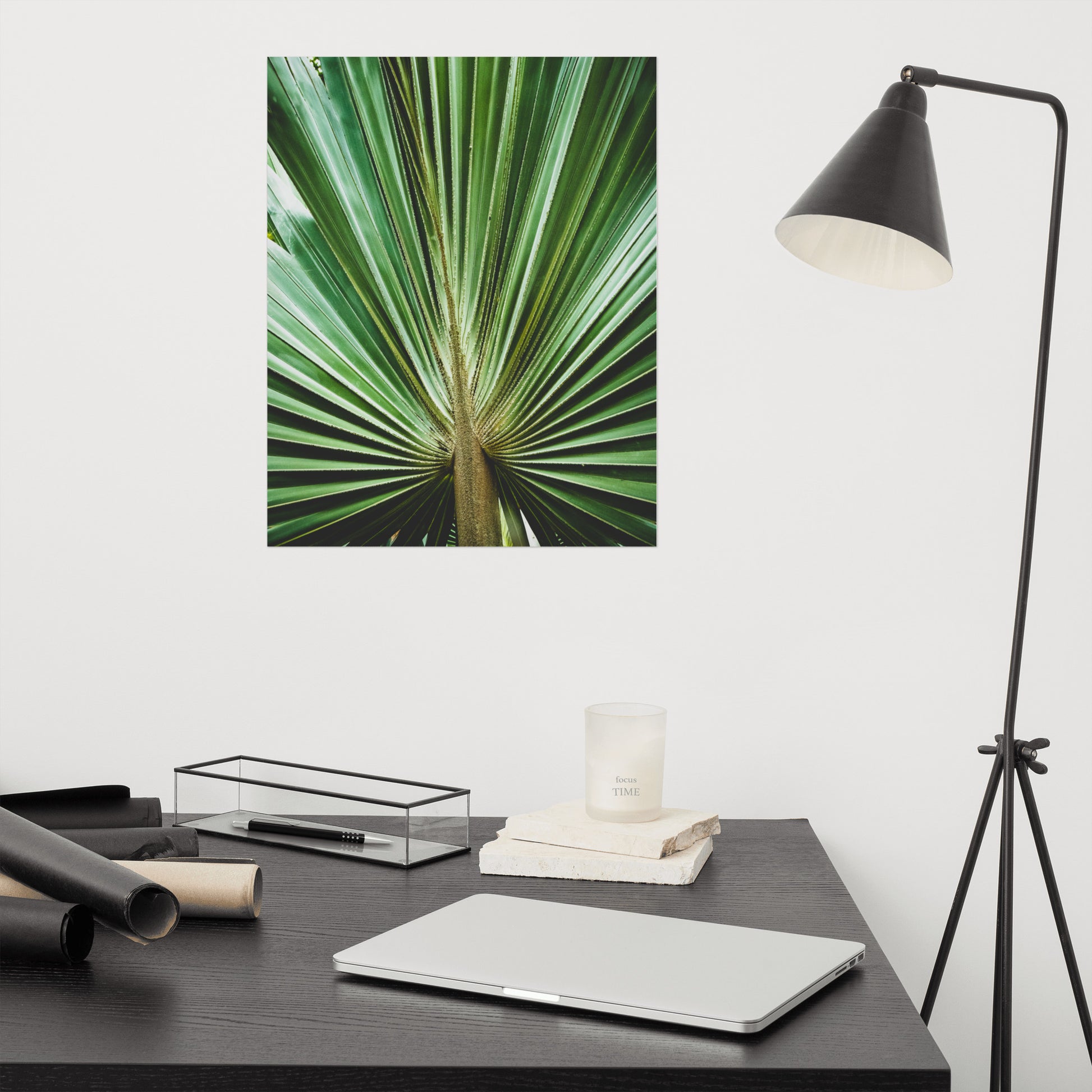 Pediatric Clinic Wall Decor: Aged and Colorized Wide Palm Leaves 2 - Botanical / Plants / Nature Photograph Loose / Unframed Wall Art Print - Artwork