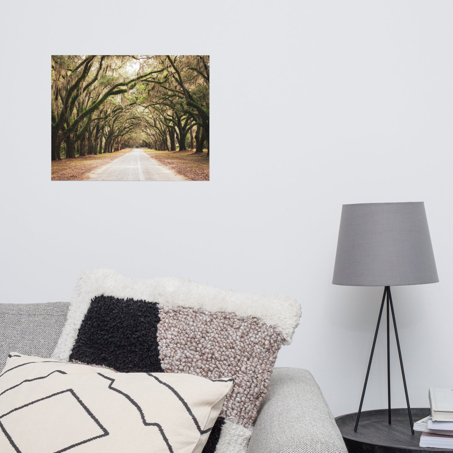 Live Oak Trees and Spanish Moss Roadway Savannah Ga Rustic Farmhouse Style Nature Landscape Photo Loose Wall Art Print