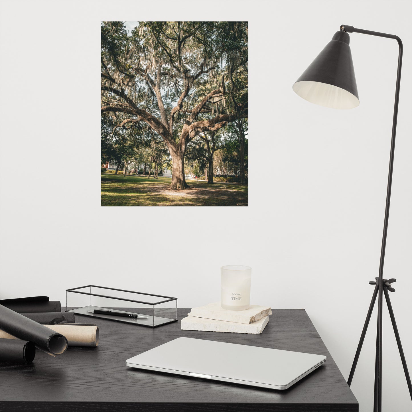 Live Oak Tree & Spanish Moss Forsyth Park Savannah Ga Rustic Farmhouse Style Nature Photo Loose Wall Art Print
