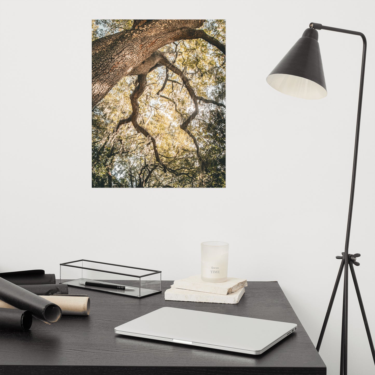 Live Oak Tree & Spanish Moss Forsyth Park Savannah Ga 2 Rustic Farmhouse Style Nature Photo Loose Wall Art Print