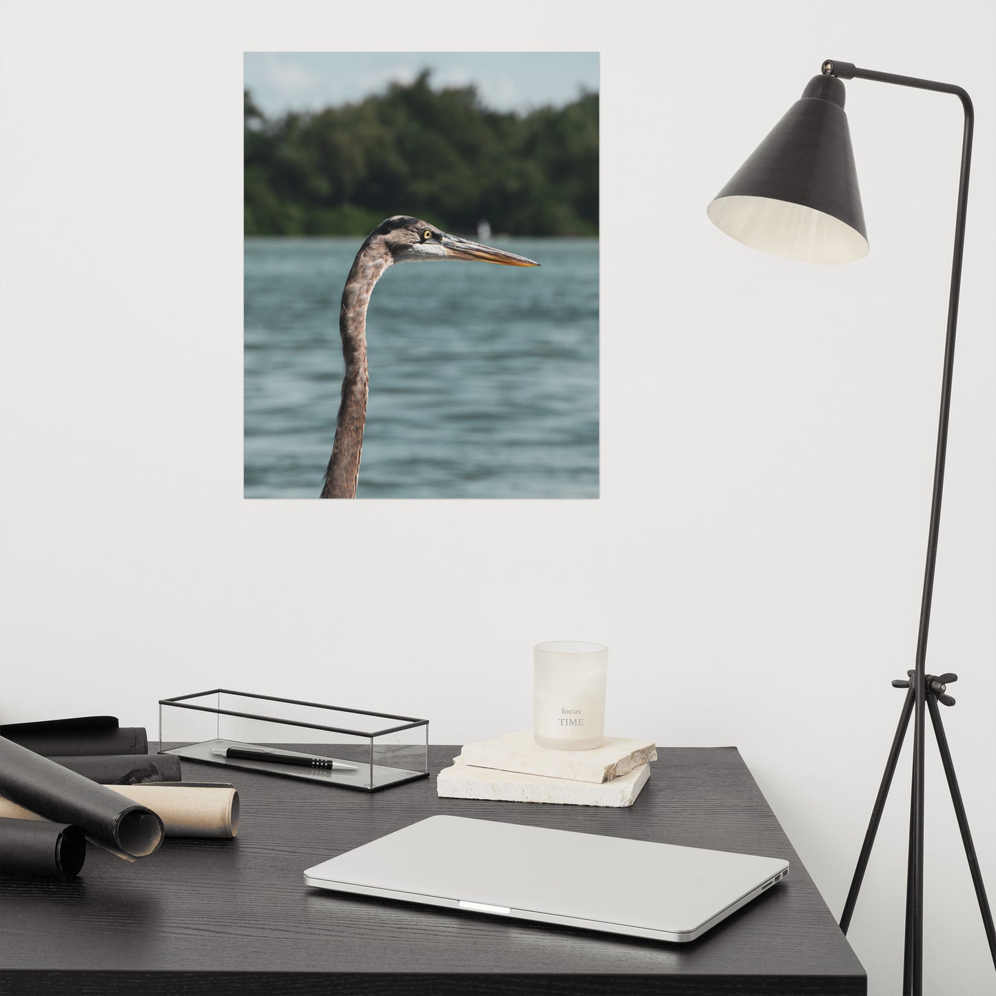 Heron in the Sound Bird / Animal / Wildlife Photo Loose Wall Art Print