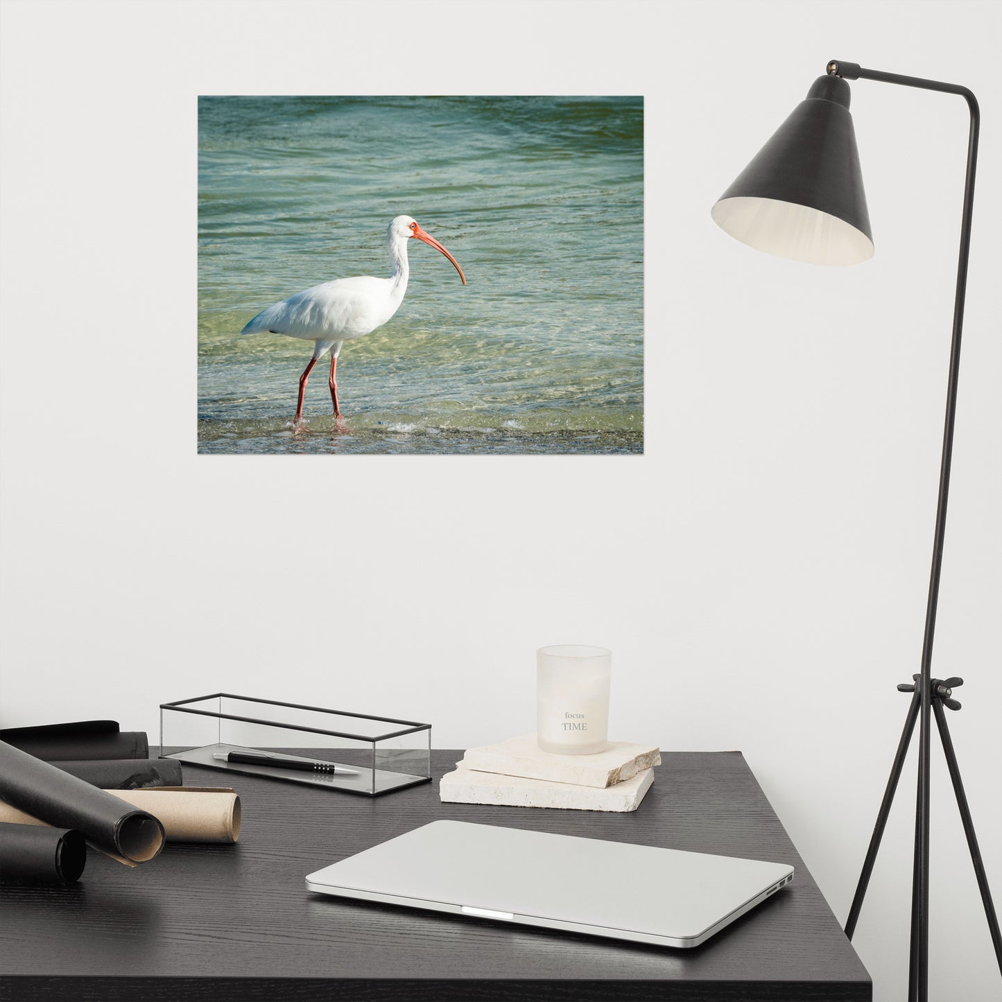 Daydreaming Ibis of the Coast Wildlife Photo Loose Wall Art Print