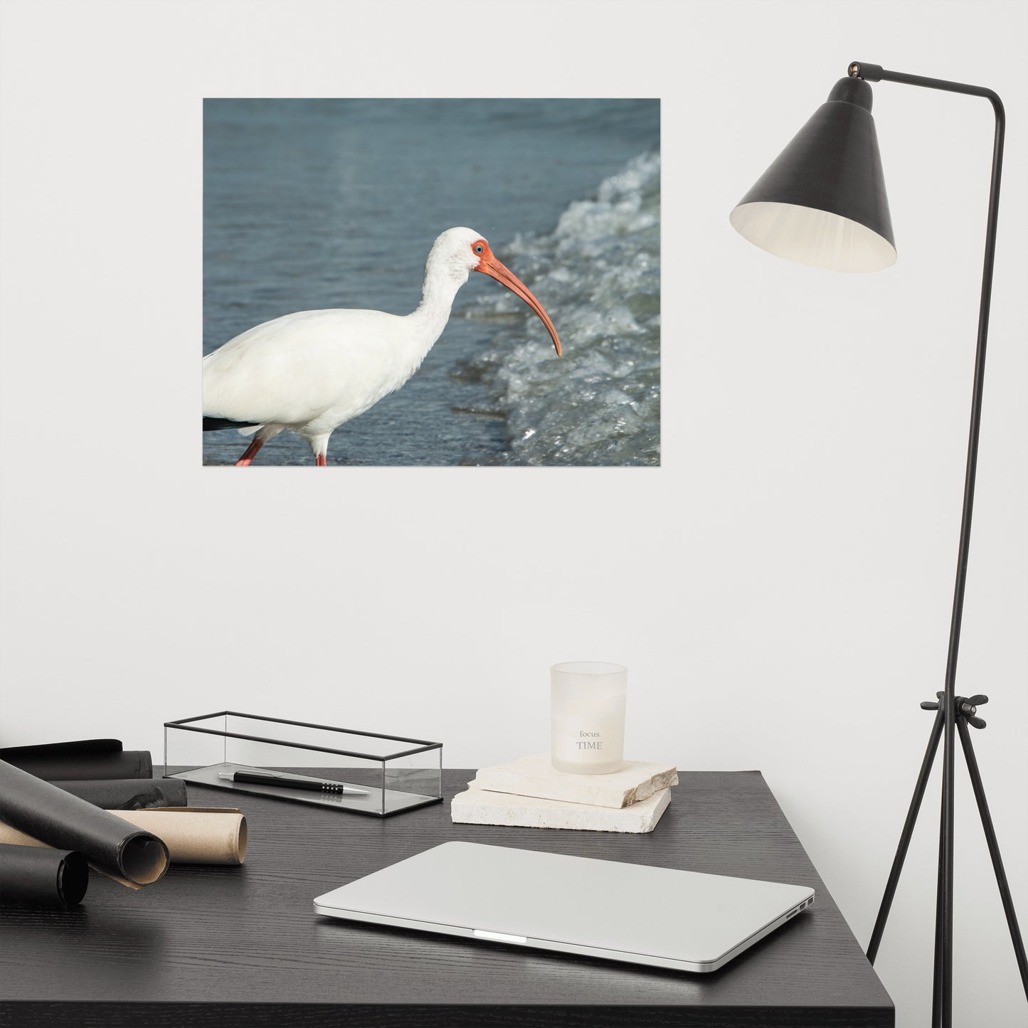 Close Up White Ibis on Beach Wildlife Photo Loose Wall Art Print