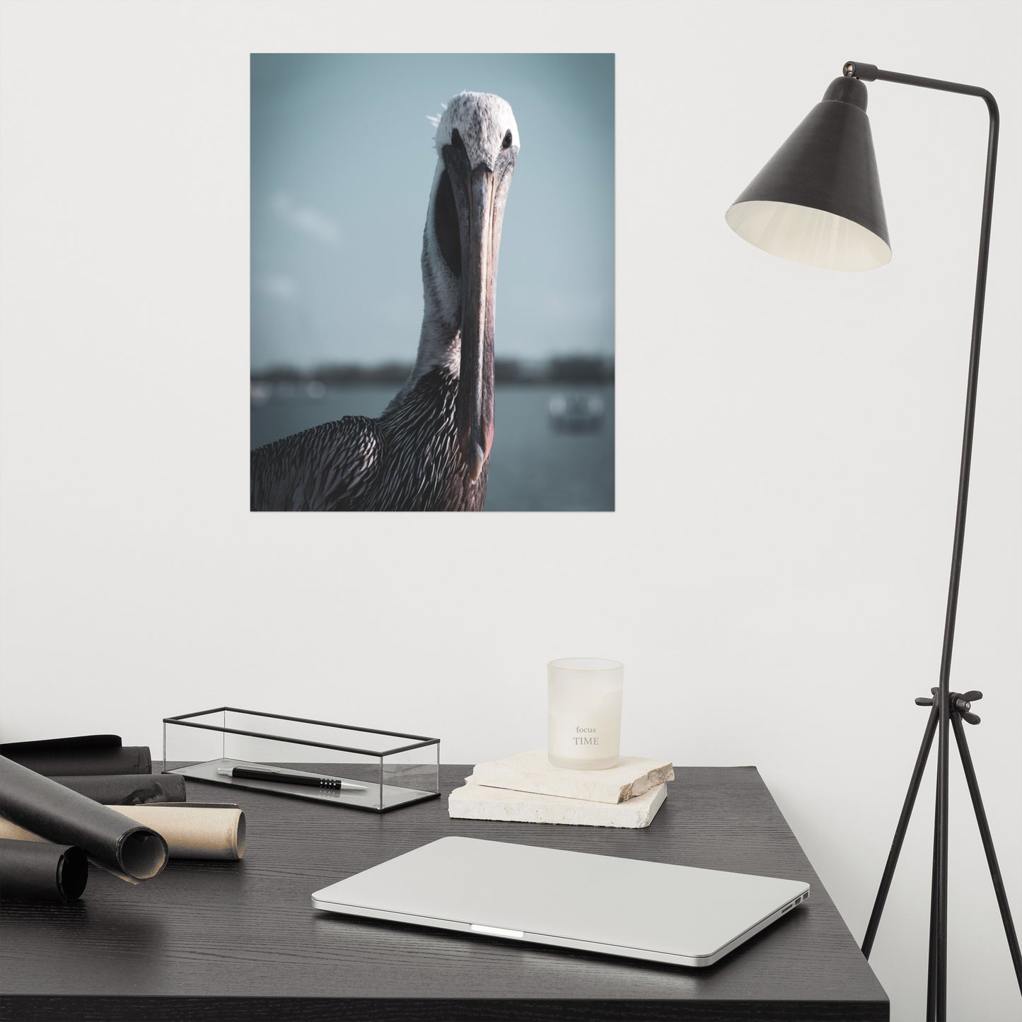 Bob The Pelican Colorized Loose Wall Art Print