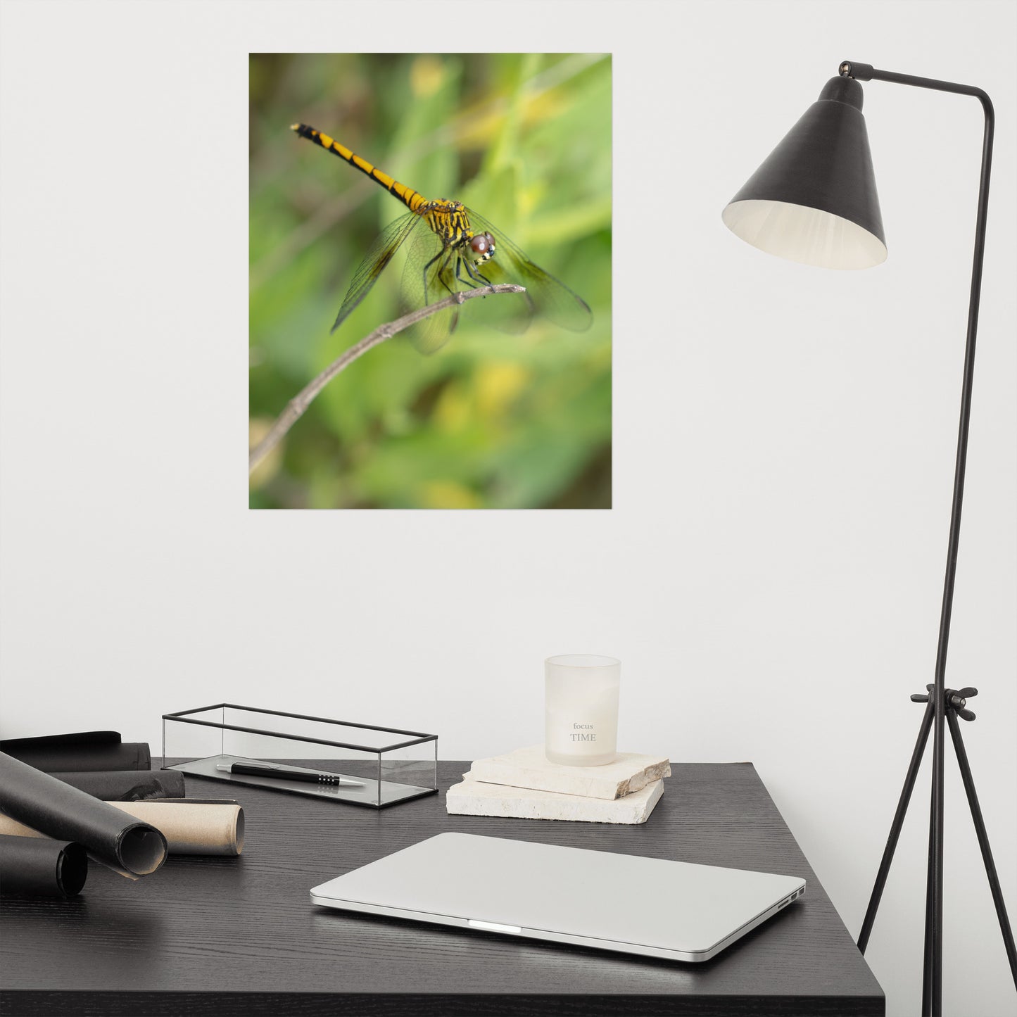 Dragonfly on Twig Wildlife Farmhouse Style Photograph Loose Wall Art Print