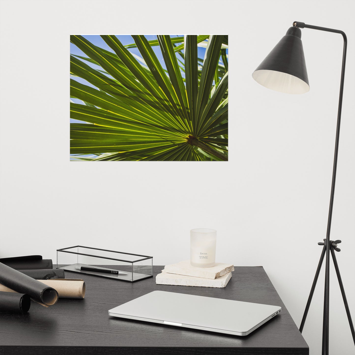 Colorized Wide Palm Leaves Botanical Nature Photo Loose Unframed Wall Art Prints