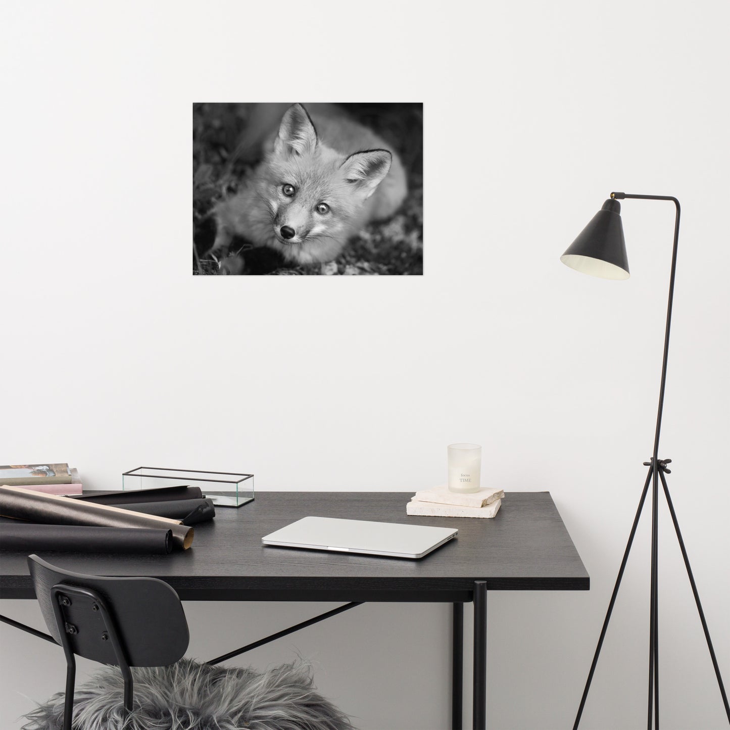 Young Red Fox Face Black and White Animal Wildlife Rustic Farmhouse Style Nature Photograph Loose Wall Art Print