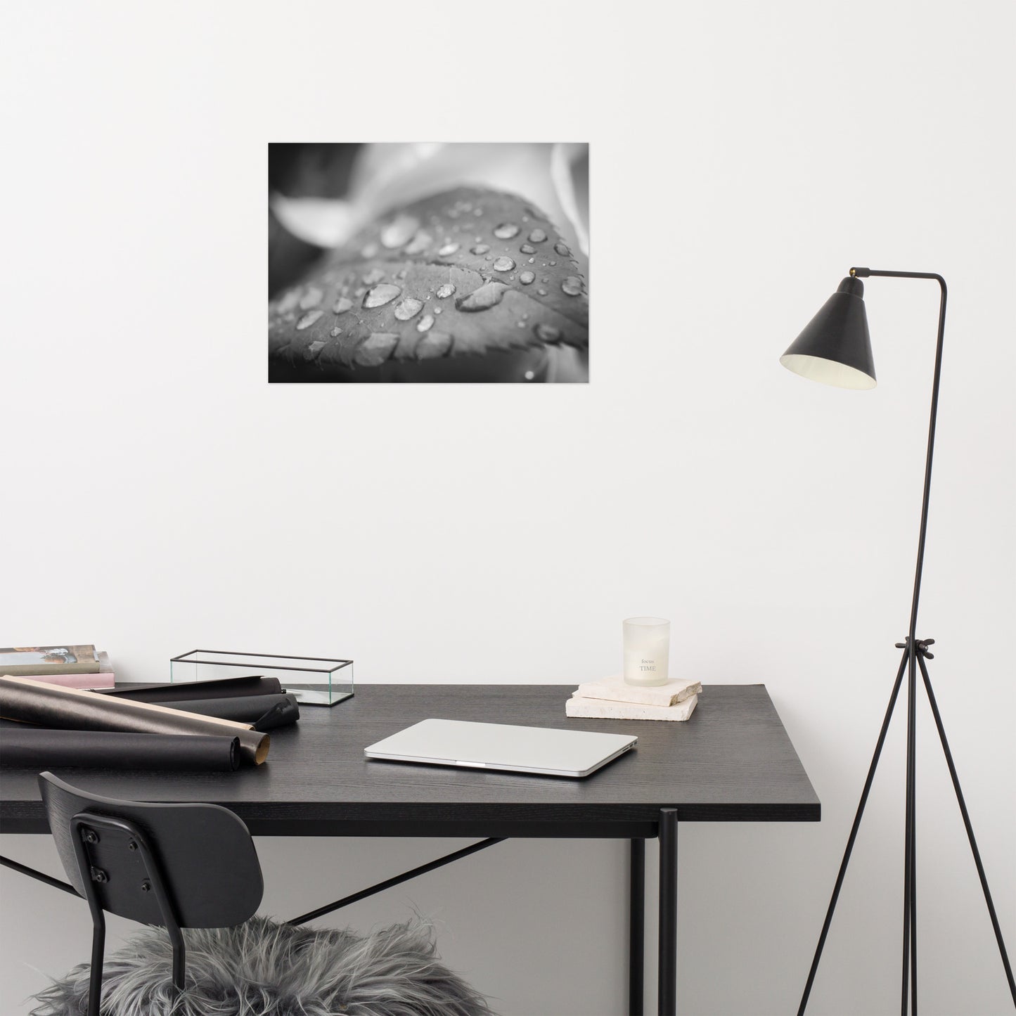 Dew on Leaf of Rose Plant Black and White Rustic Botanical Nature Photo Loose Unframed Wall Art Prints
