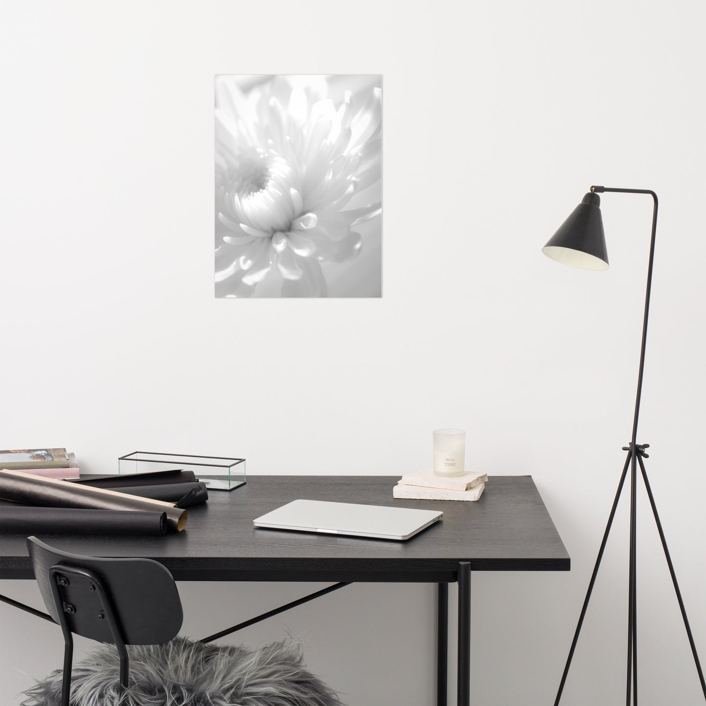Infrared Flower Black and White Floral Nature Photo Loose Unframed Wall Art Prints