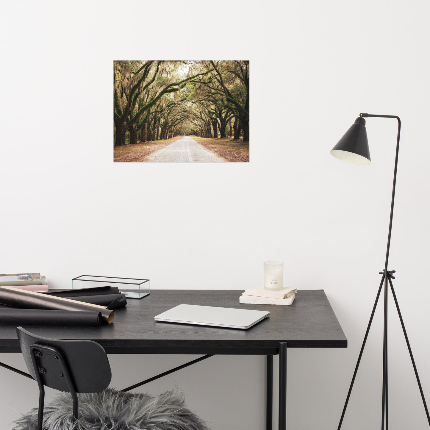 Botanical / Nature Landscape / Cityscape Abstract Decor Live Oaks and Spanish Moss Roadway Savannah Ga Loose Wall Art Print 18" x 24"