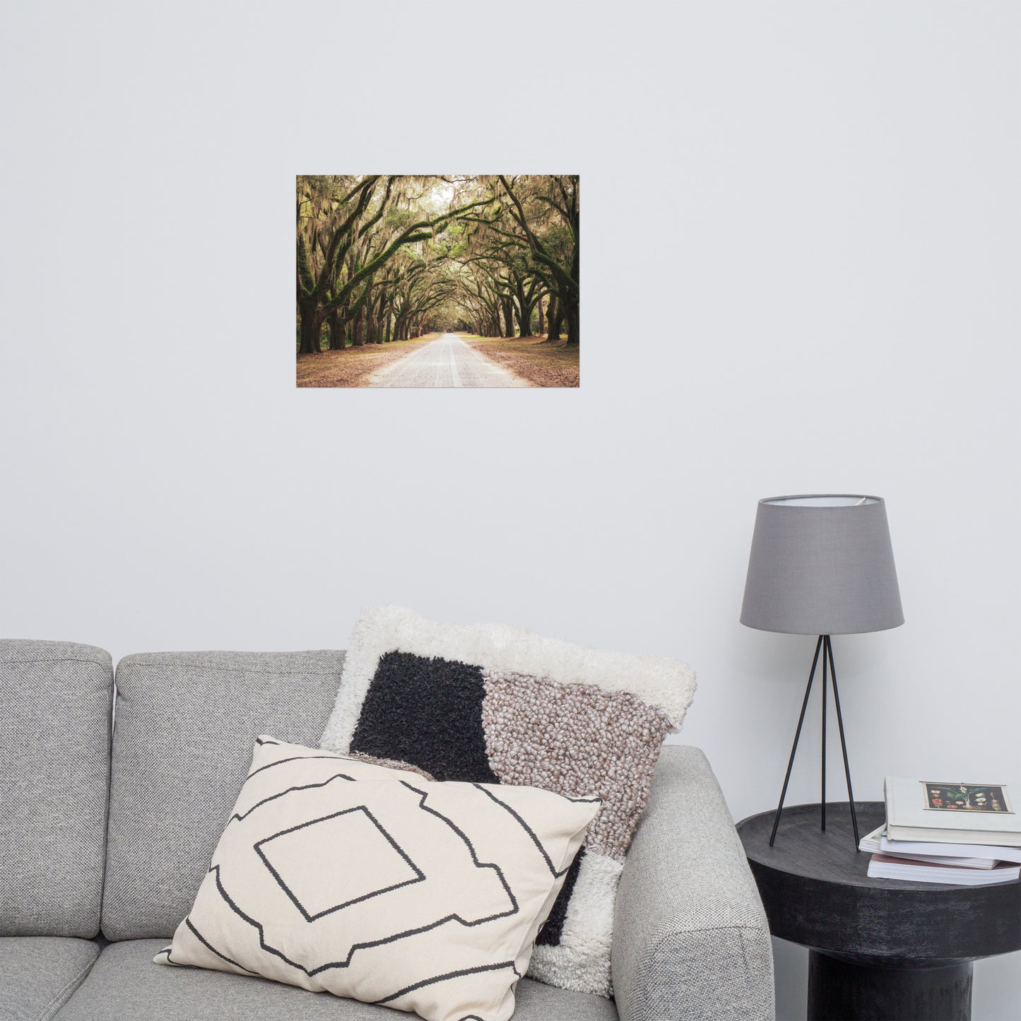 Live Oak Trees and Spanish Moss Roadway Savannah Ga Rustic Farmhouse Style Nature Landscape Photo Loose Wall Art Print