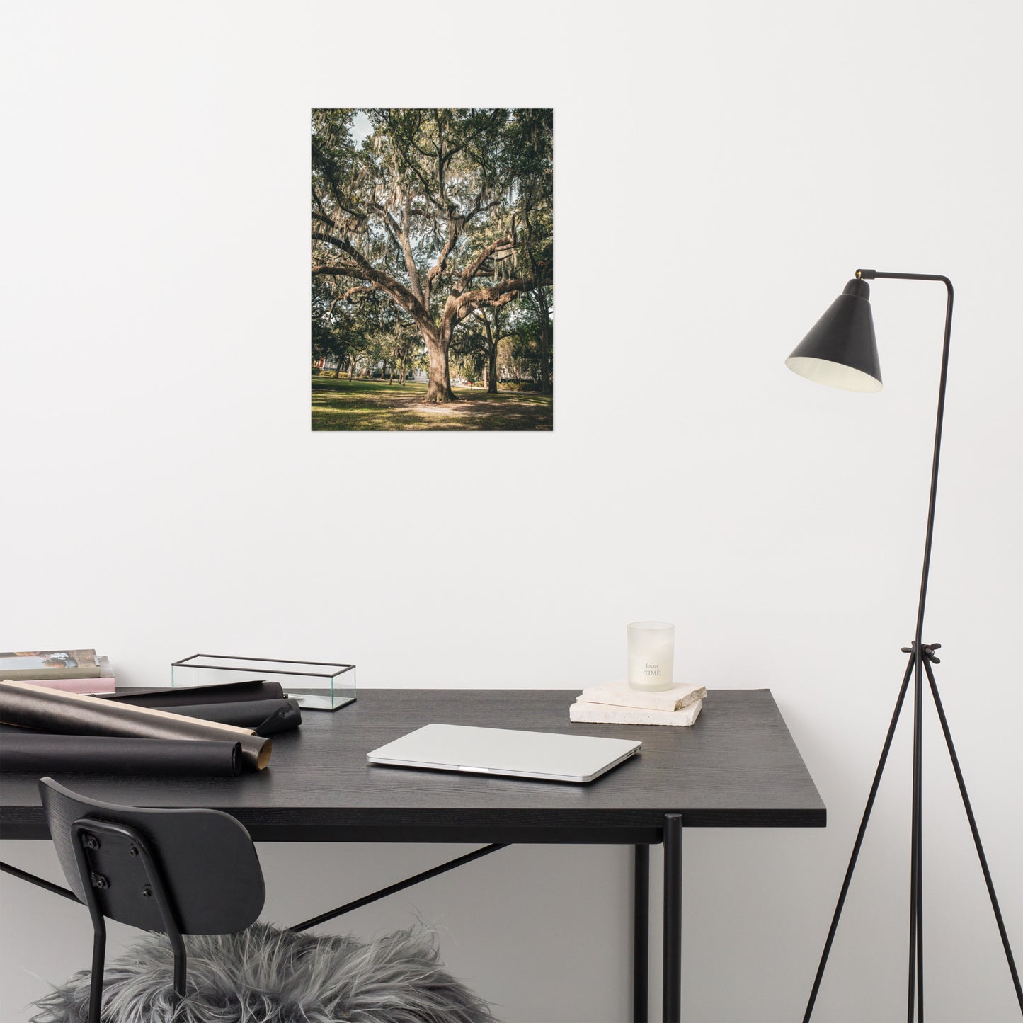 Live Oak Tree & Spanish Moss Forsyth Park Savannah Ga Rustic Farmhouse Style Nature Photo Loose Wall Art Print