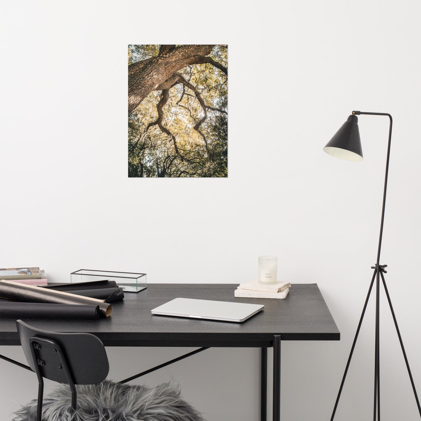 Live Oak Tree & Spanish Moss Forsyth Park Savannah Ga 2 Rustic Farmhouse Style Nature Photo Loose Wall Art Print