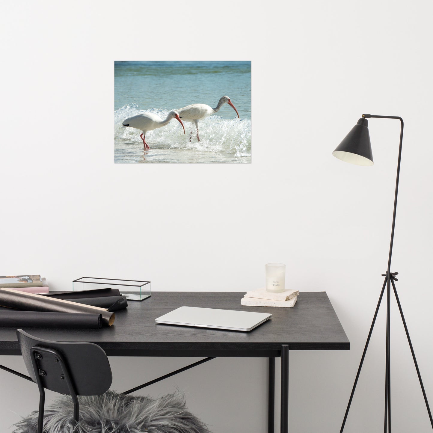 White Ibises on the Shore Traditional Color Coastal Wildlife Photograph Wall Art Print