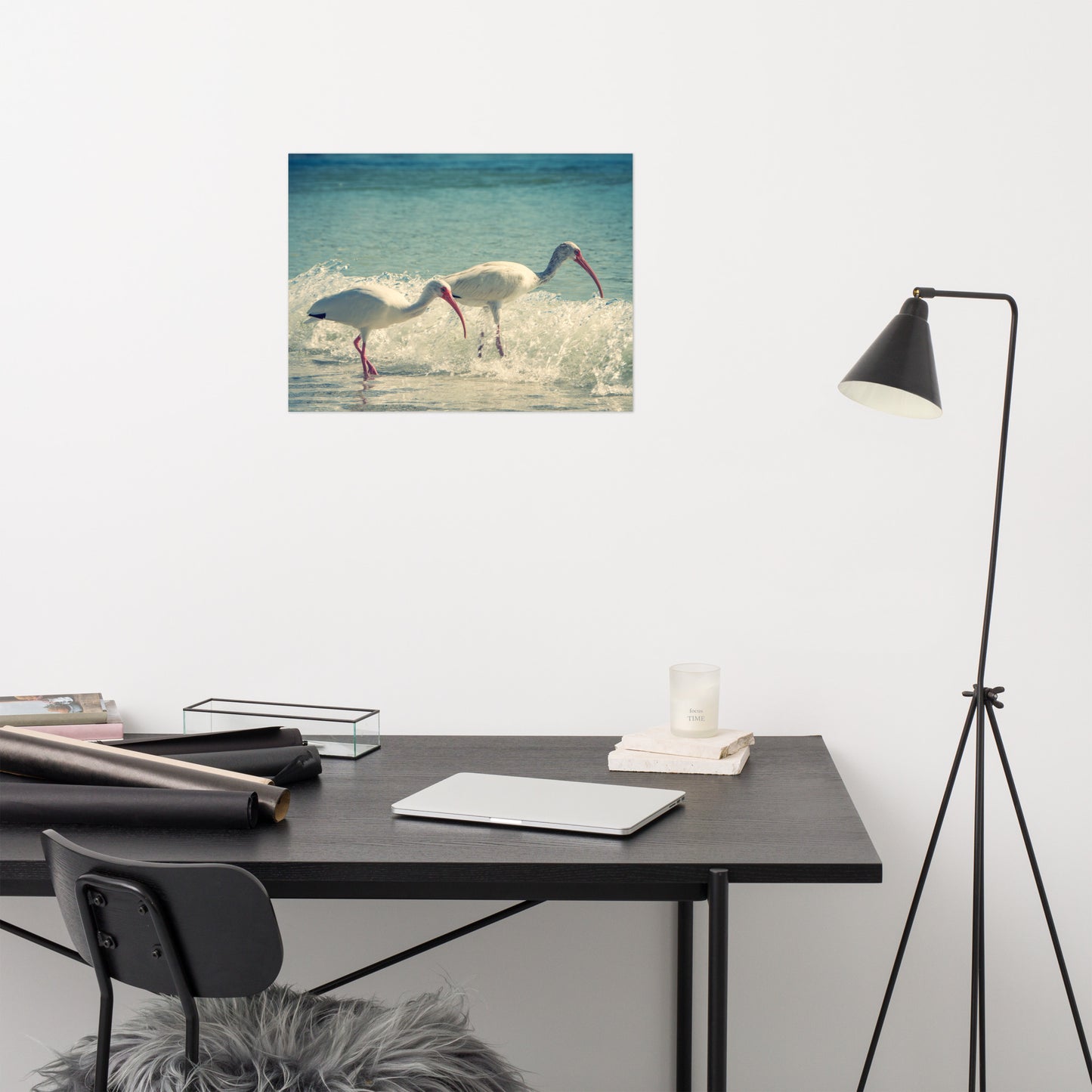 White Ibises on the Shore Colorized Coastal Wildlife Photo Loose Wall Art Print