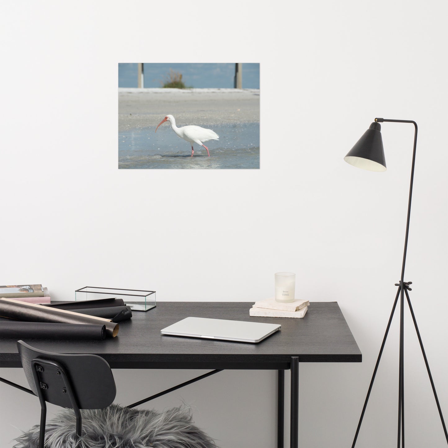 White Ibis on the Shore Coastal Wildlife Photo Loose Wall Art Print