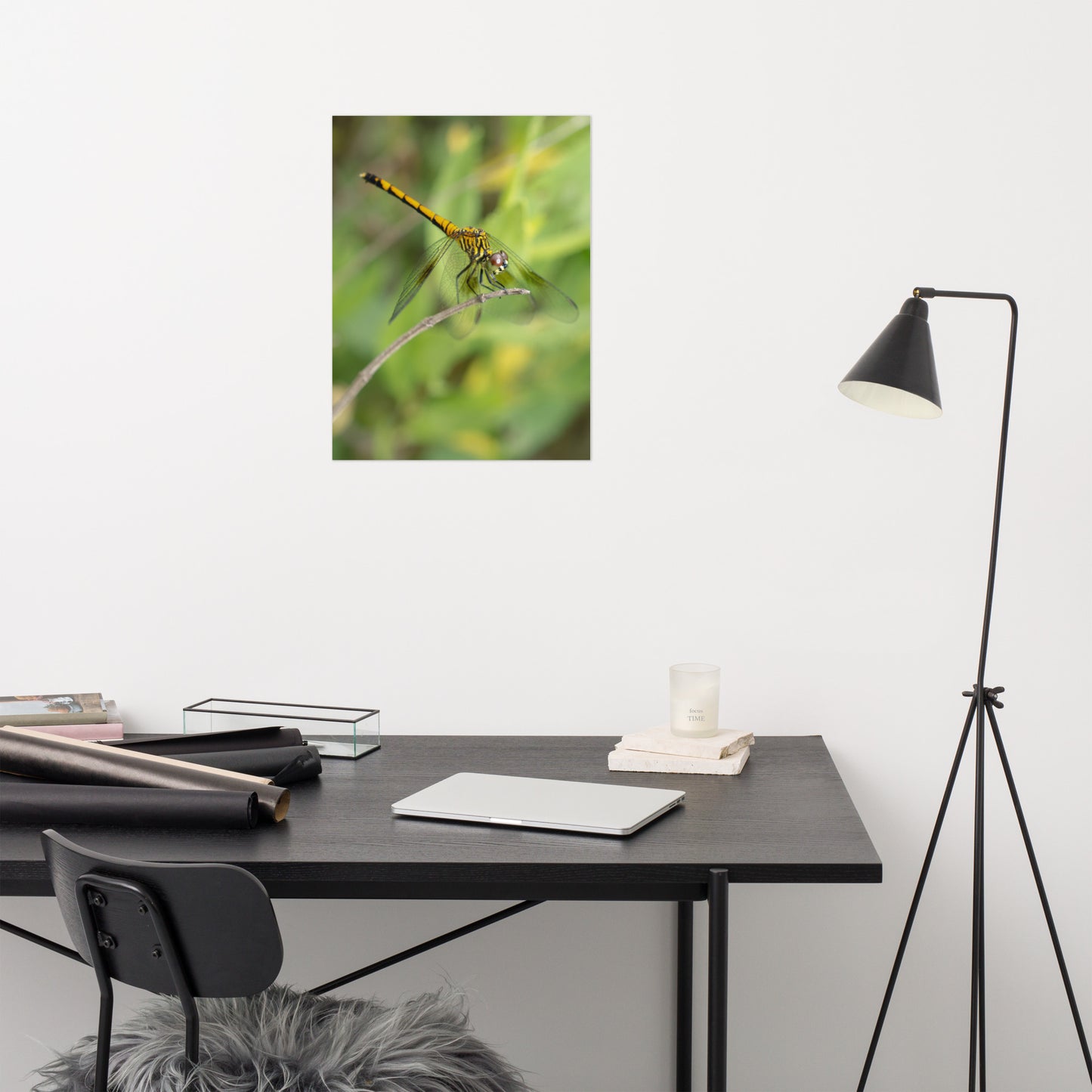 Dragonfly on Twig Wildlife Farmhouse Style Photograph Loose Wall Art Print
