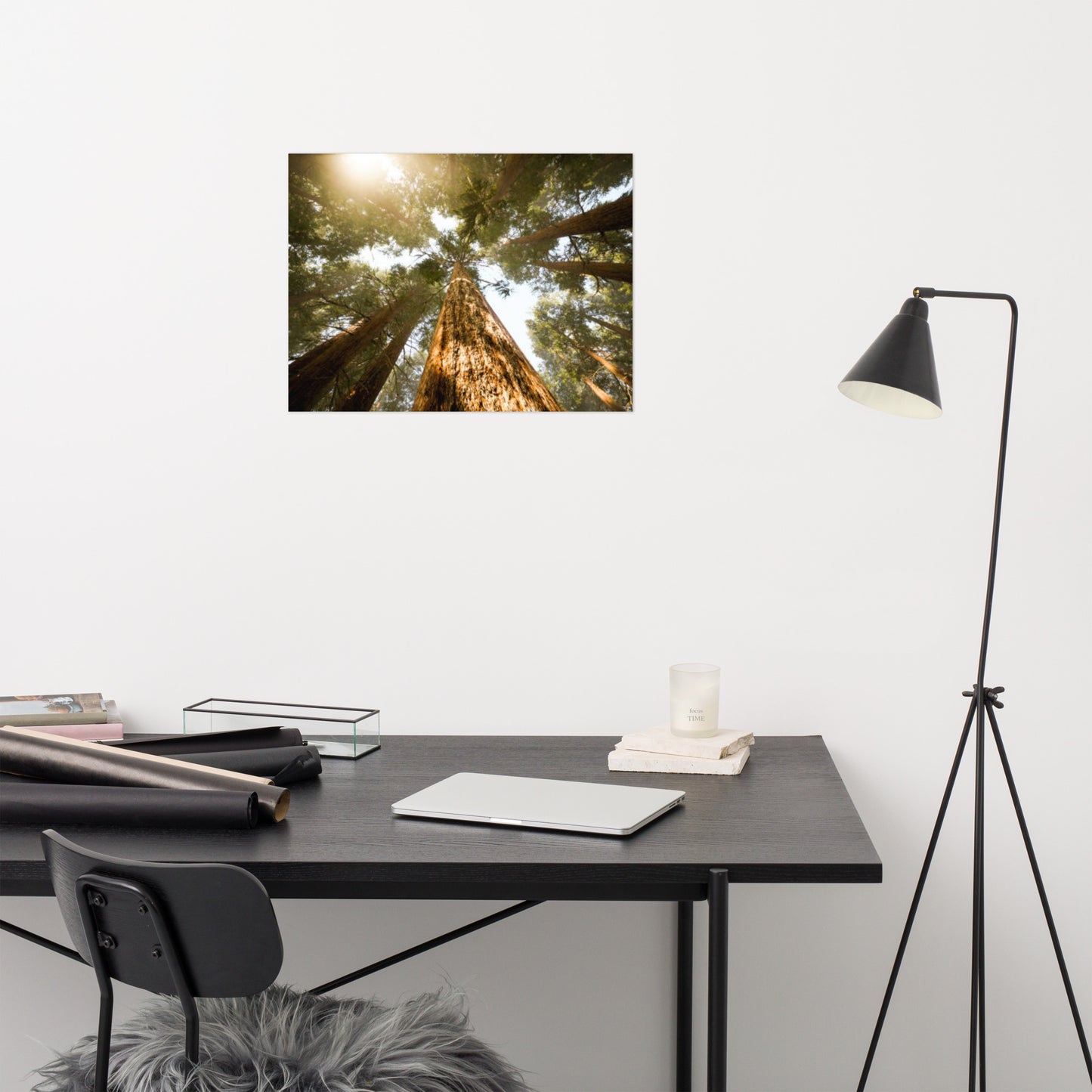 Looking Up Pine Trees Rustic Farmhouse Style Botanical Nature Photograph Loose Wall Art Print
